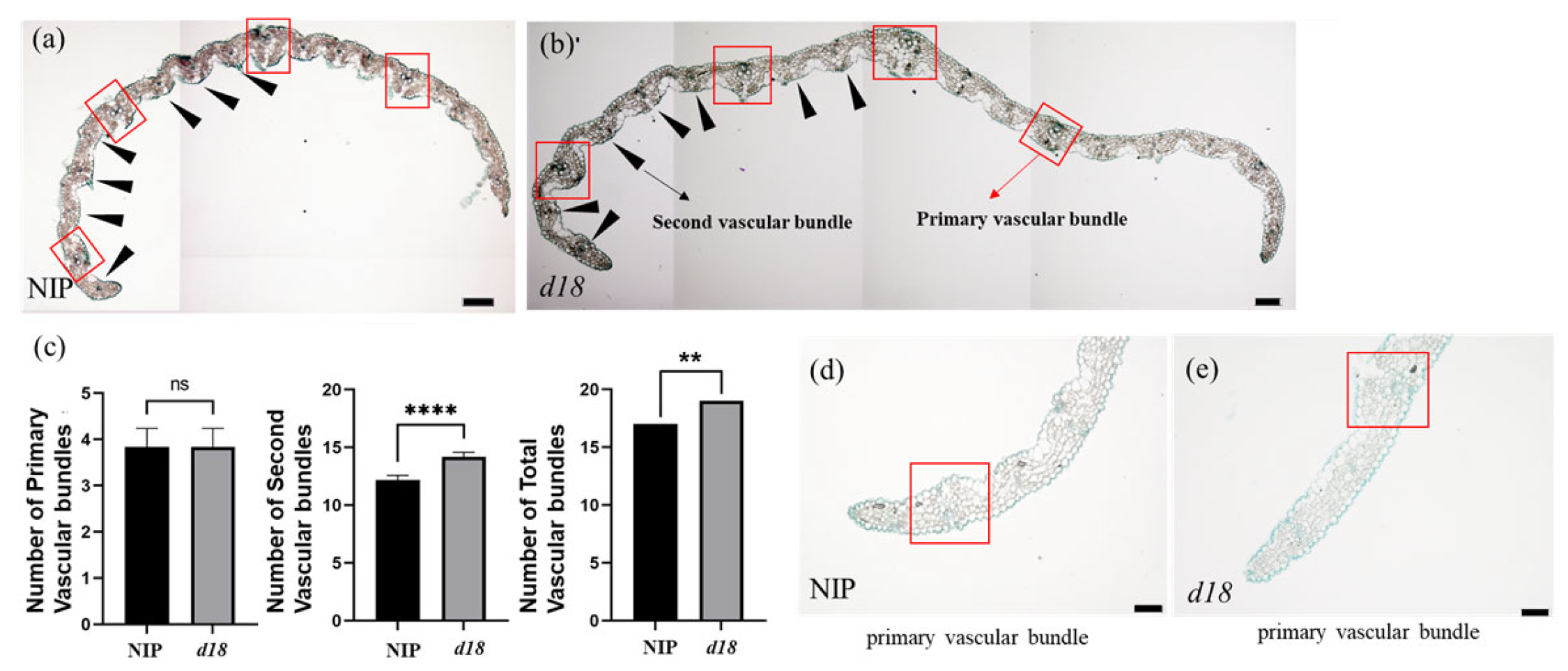 Agronomy 14 01597 g004