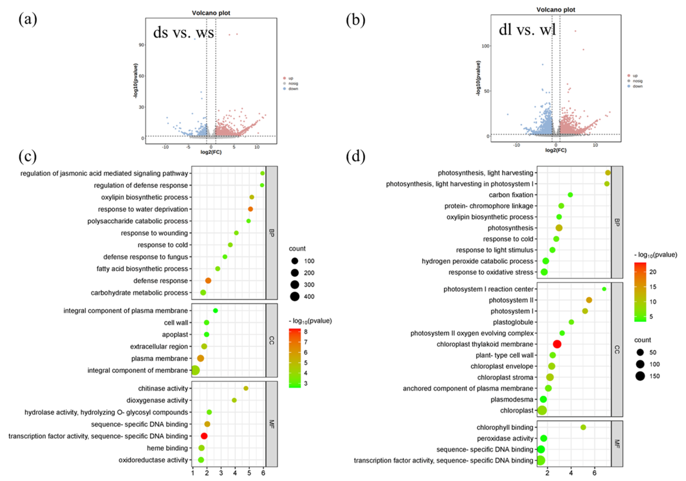 Agronomy 14 01597 g006
