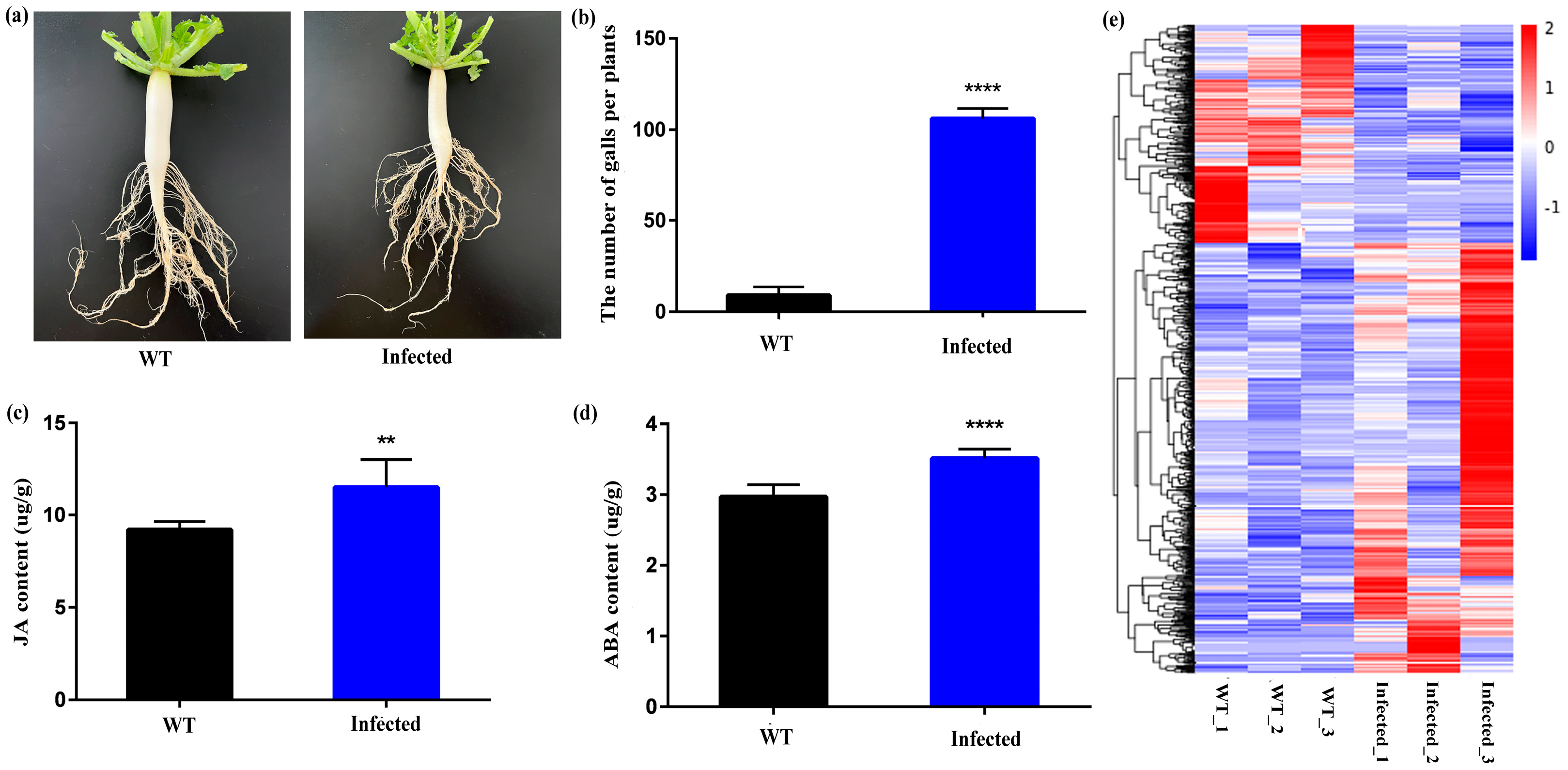 Agronomy 14 01603 g001