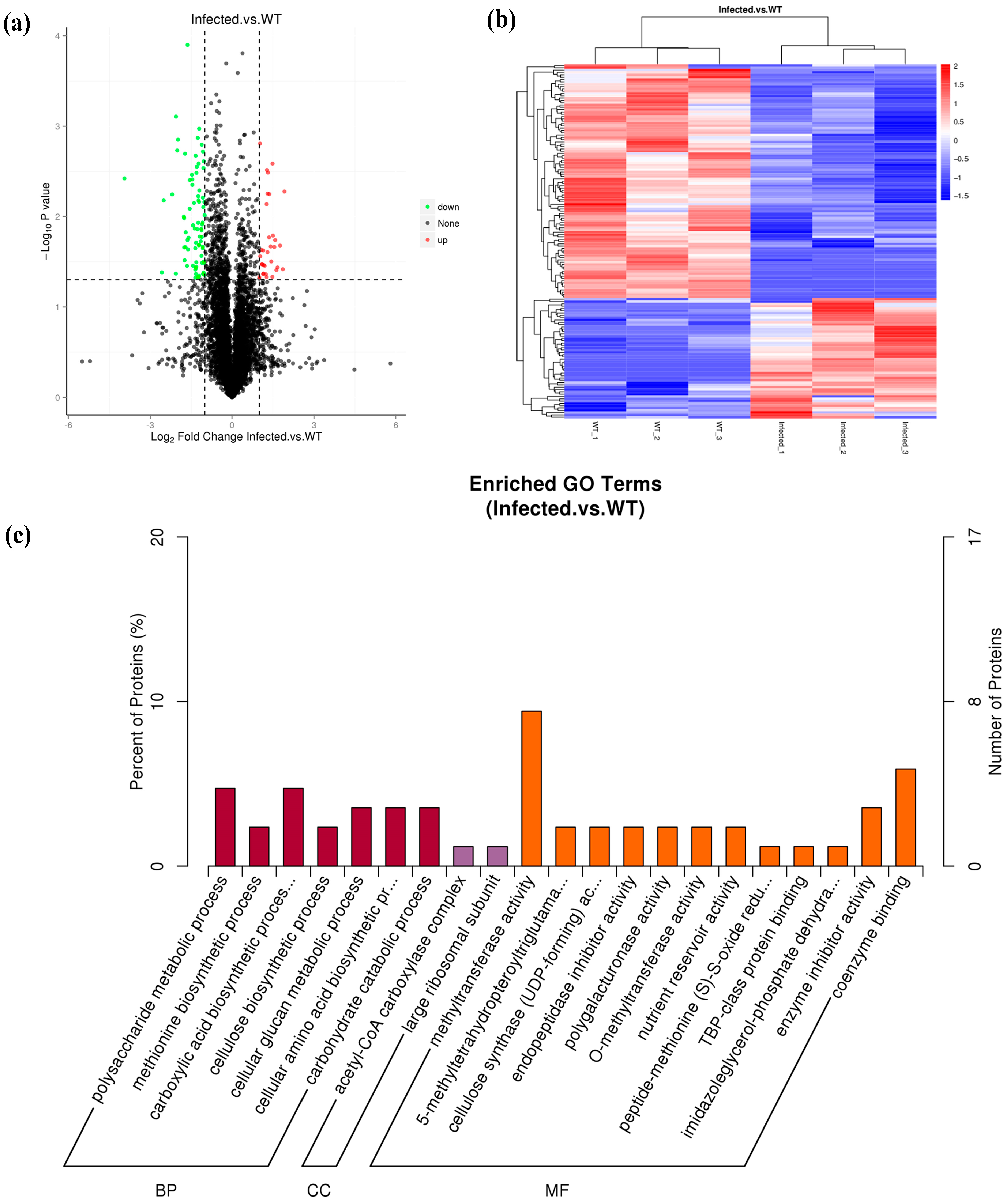 Agronomy 14 01603 g003