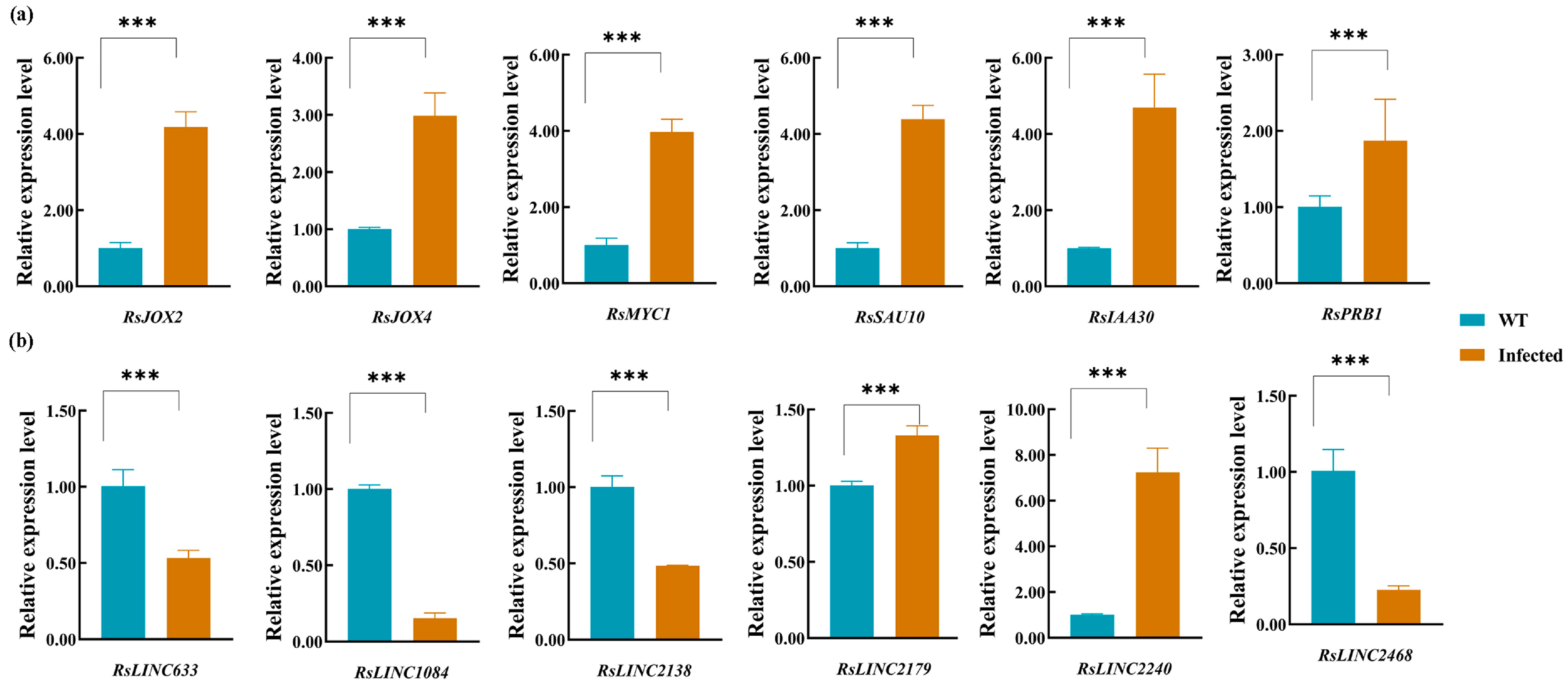 Agronomy 14 01603 g006