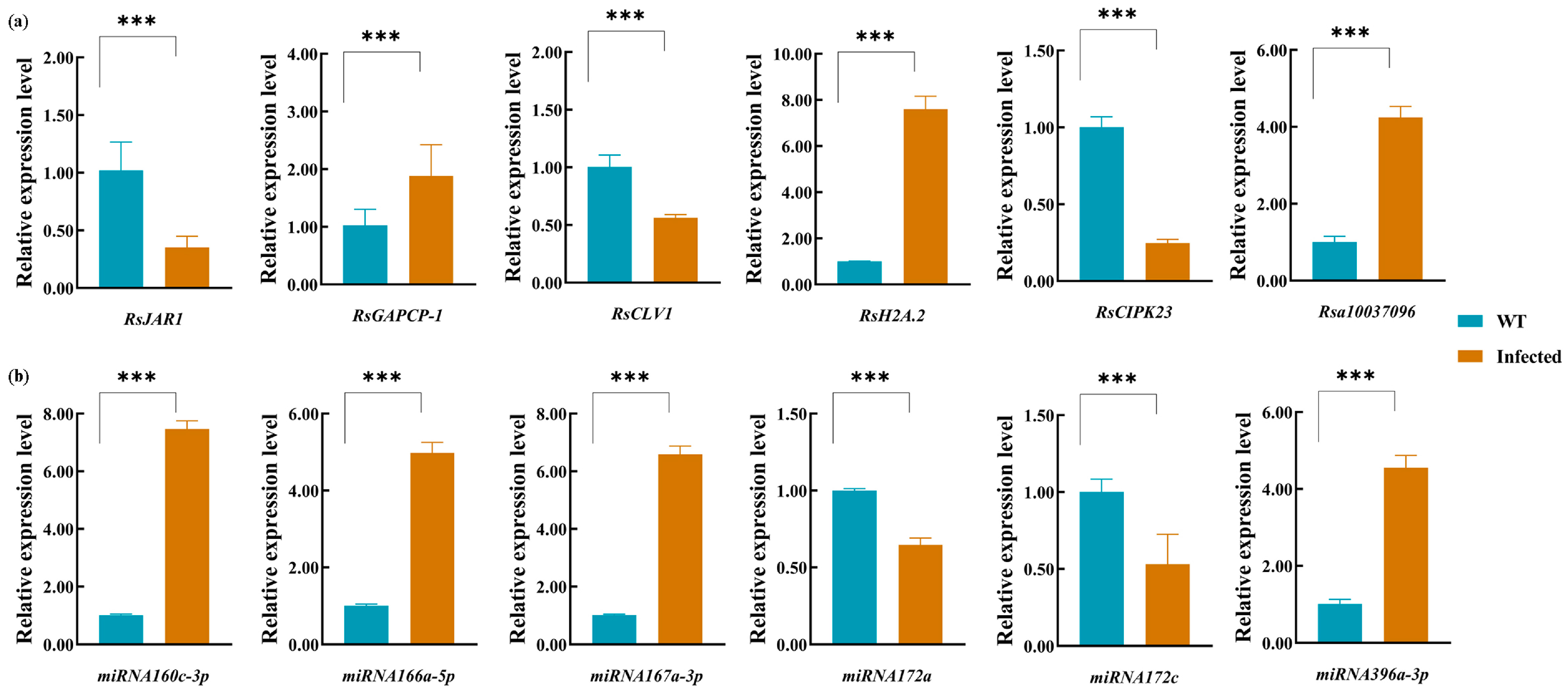 Agronomy 14 01603 g007