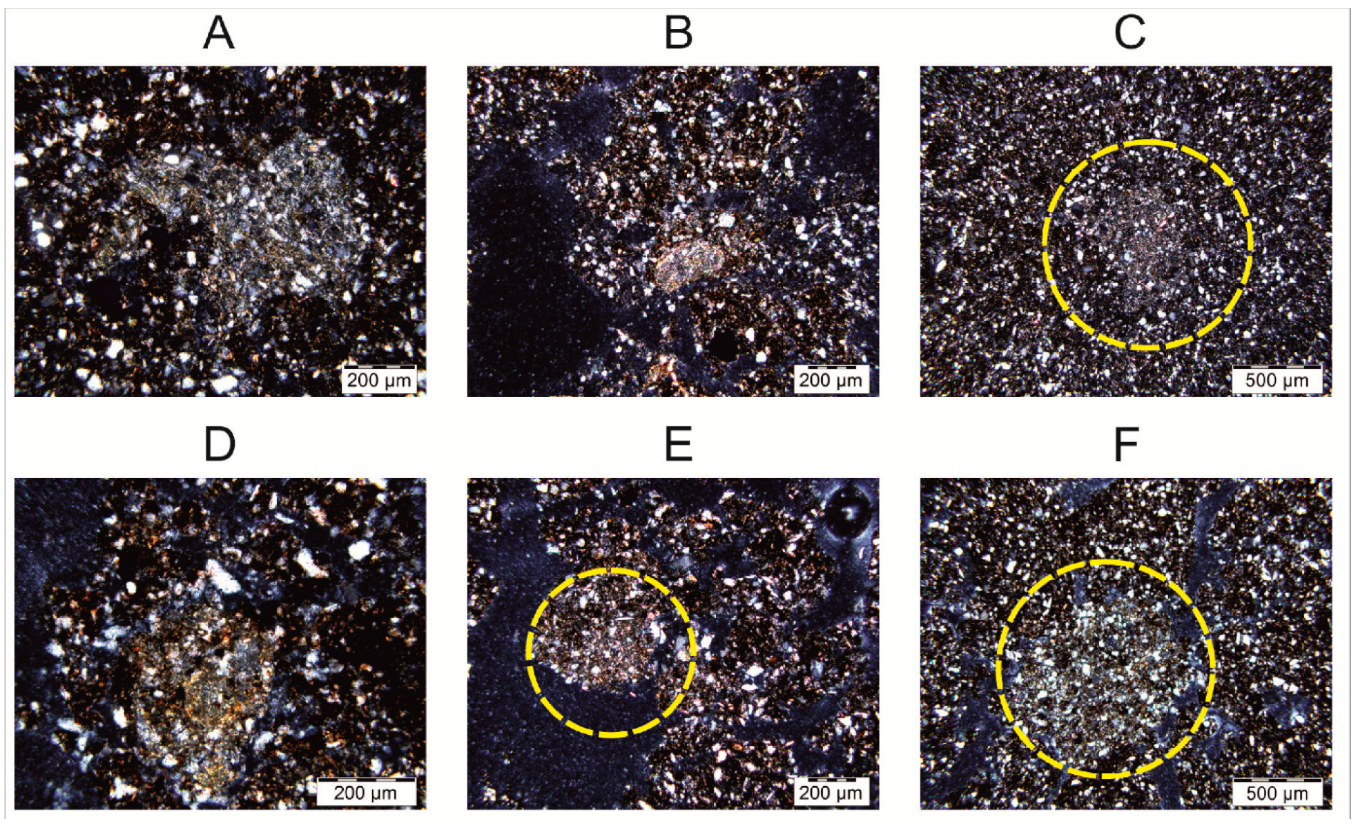 Agronomy 14 01607 g004