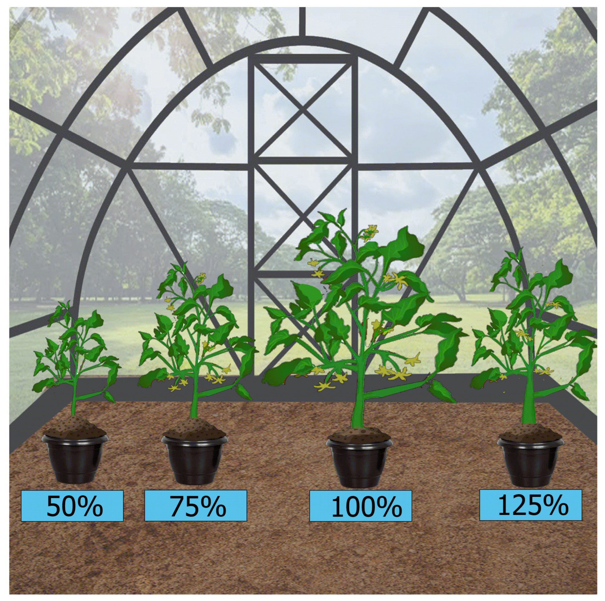 Agronomy 14 01616 g002