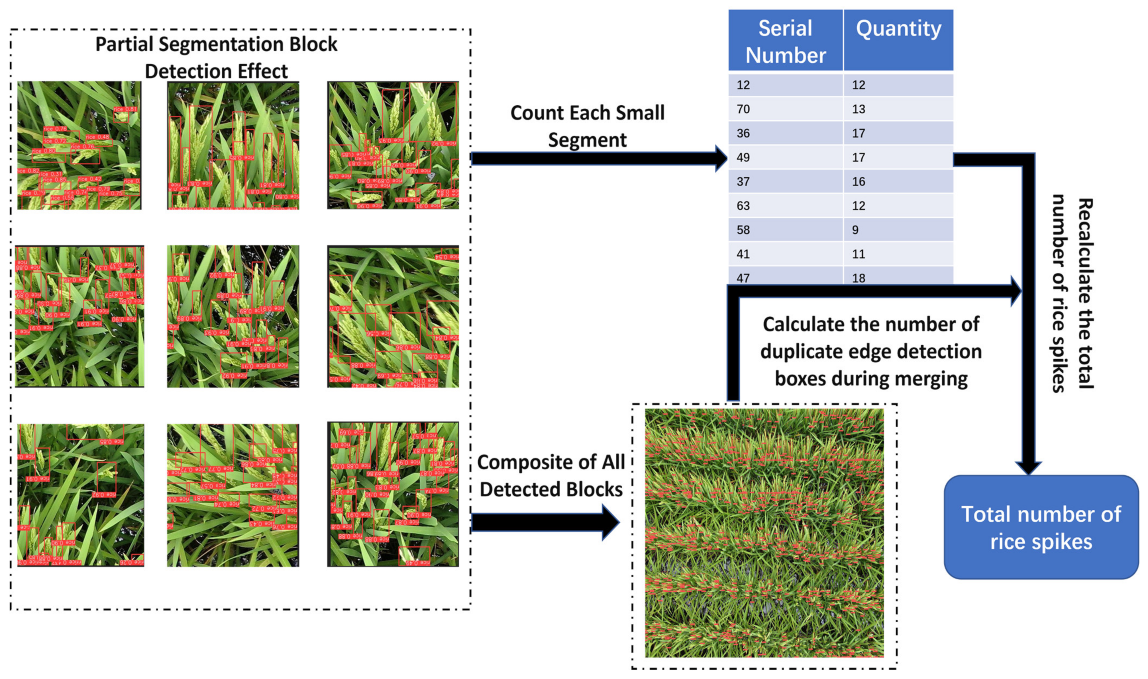 Agronomy 14 01618 g005