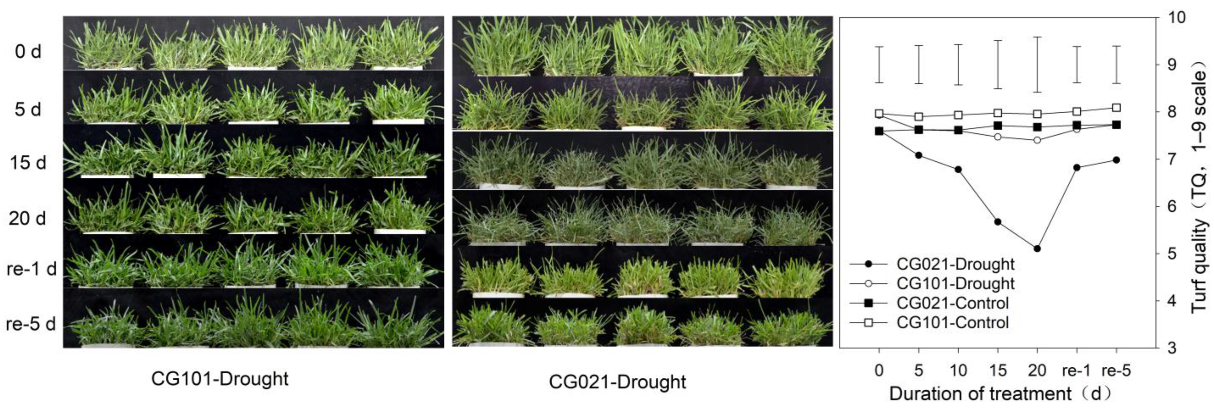 Agronomy 14 01624 g002