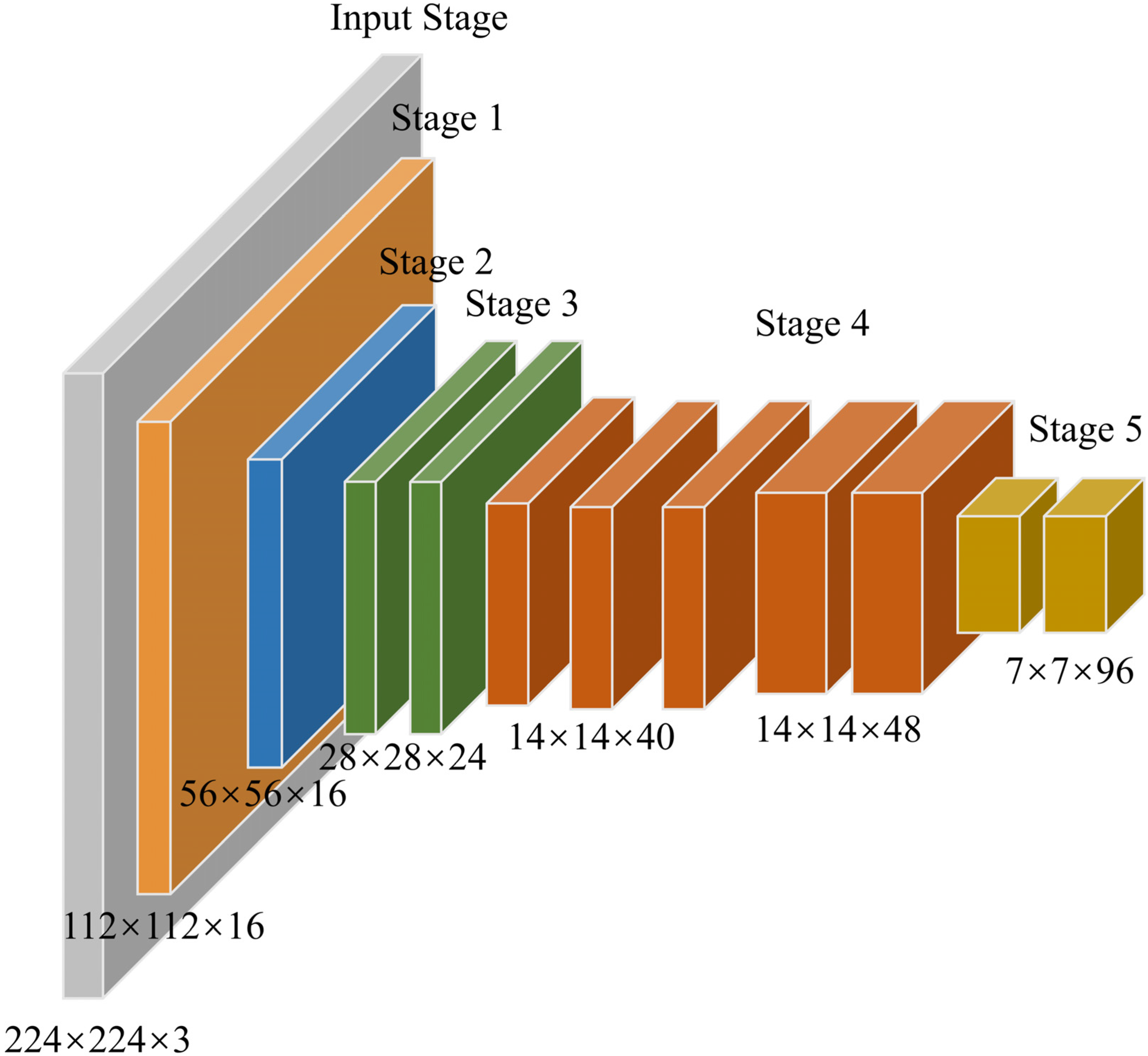 Agronomy 14 01628 g004