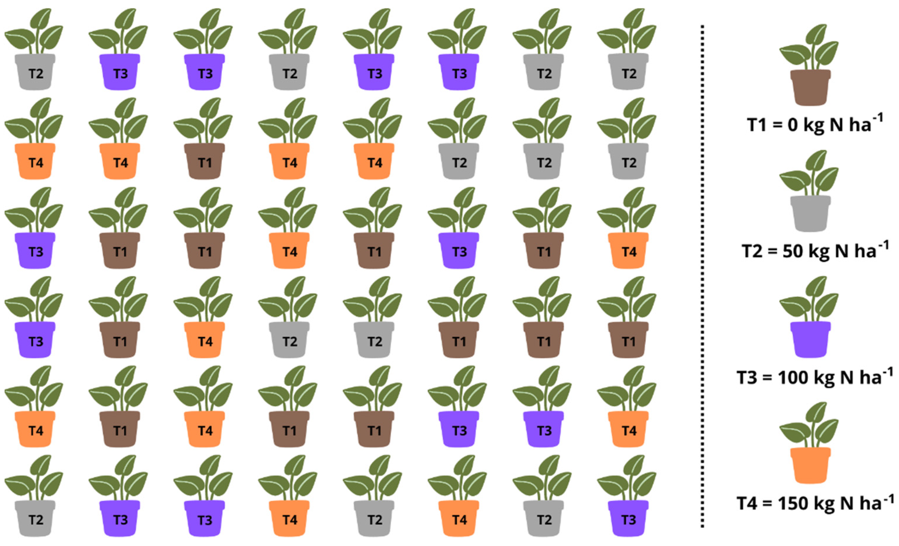 Agronomy 14 01634 g001 Agronomy 14 01634 g001