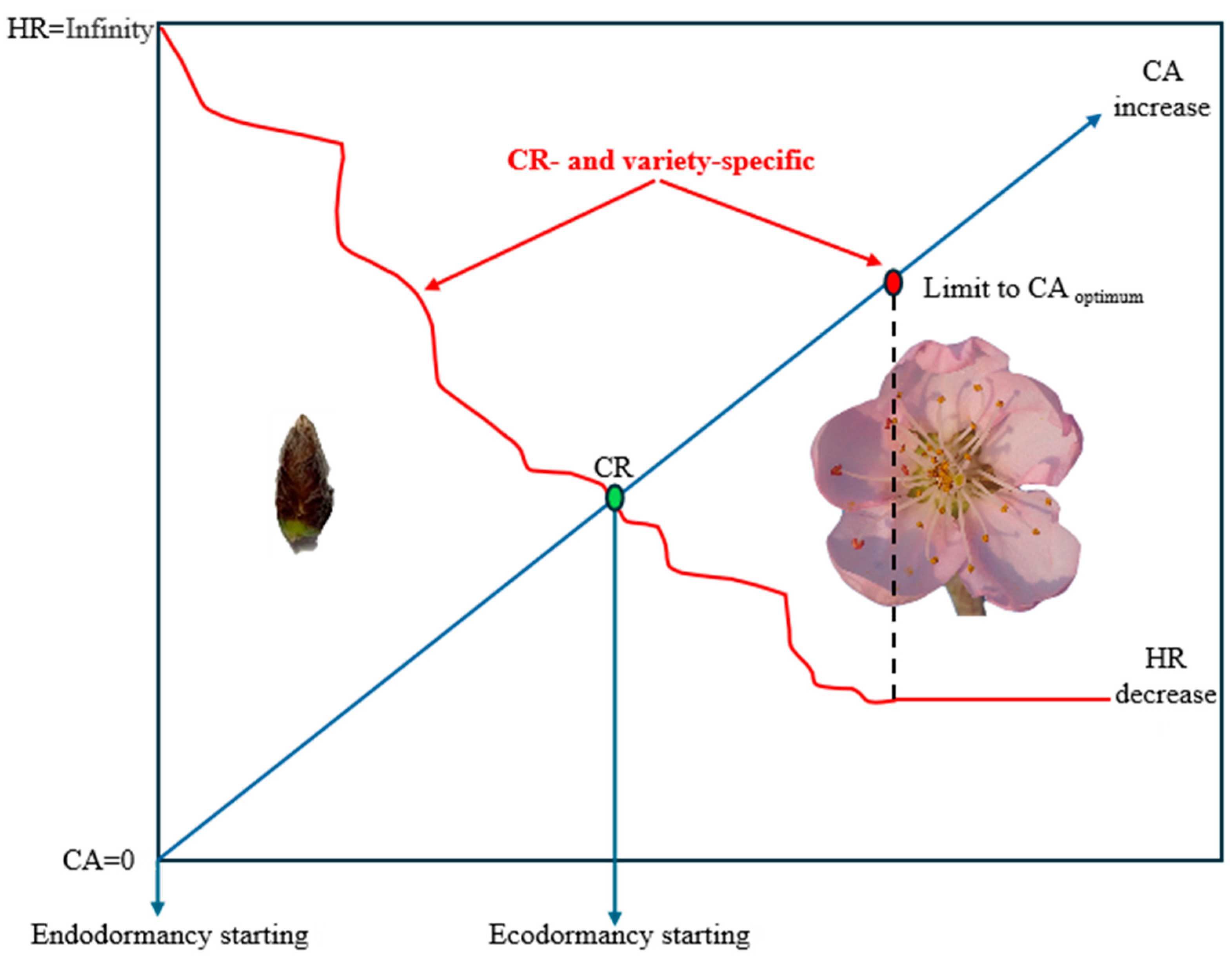 Agronomy 14 01637 g005 Agronomy 14 01637 g005