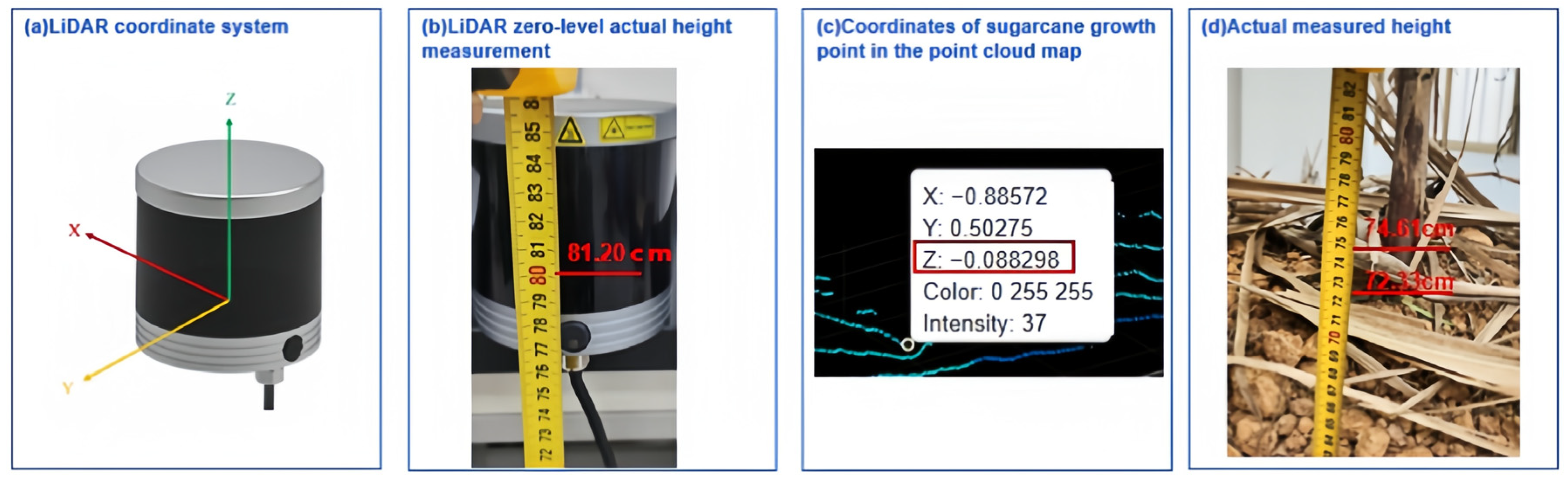 Agronomy 14 01644 g015