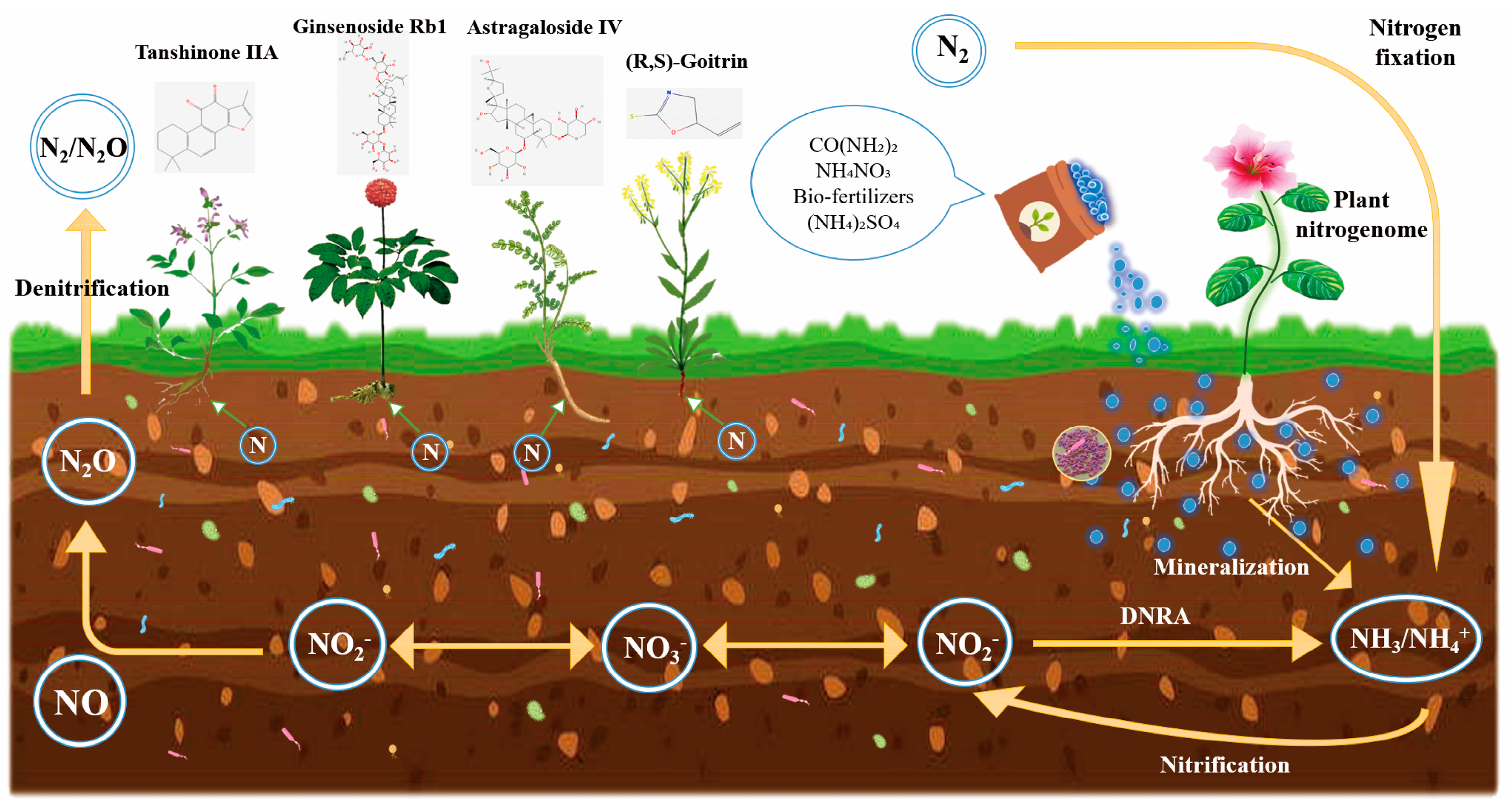 Agronomy 14 01647 g003