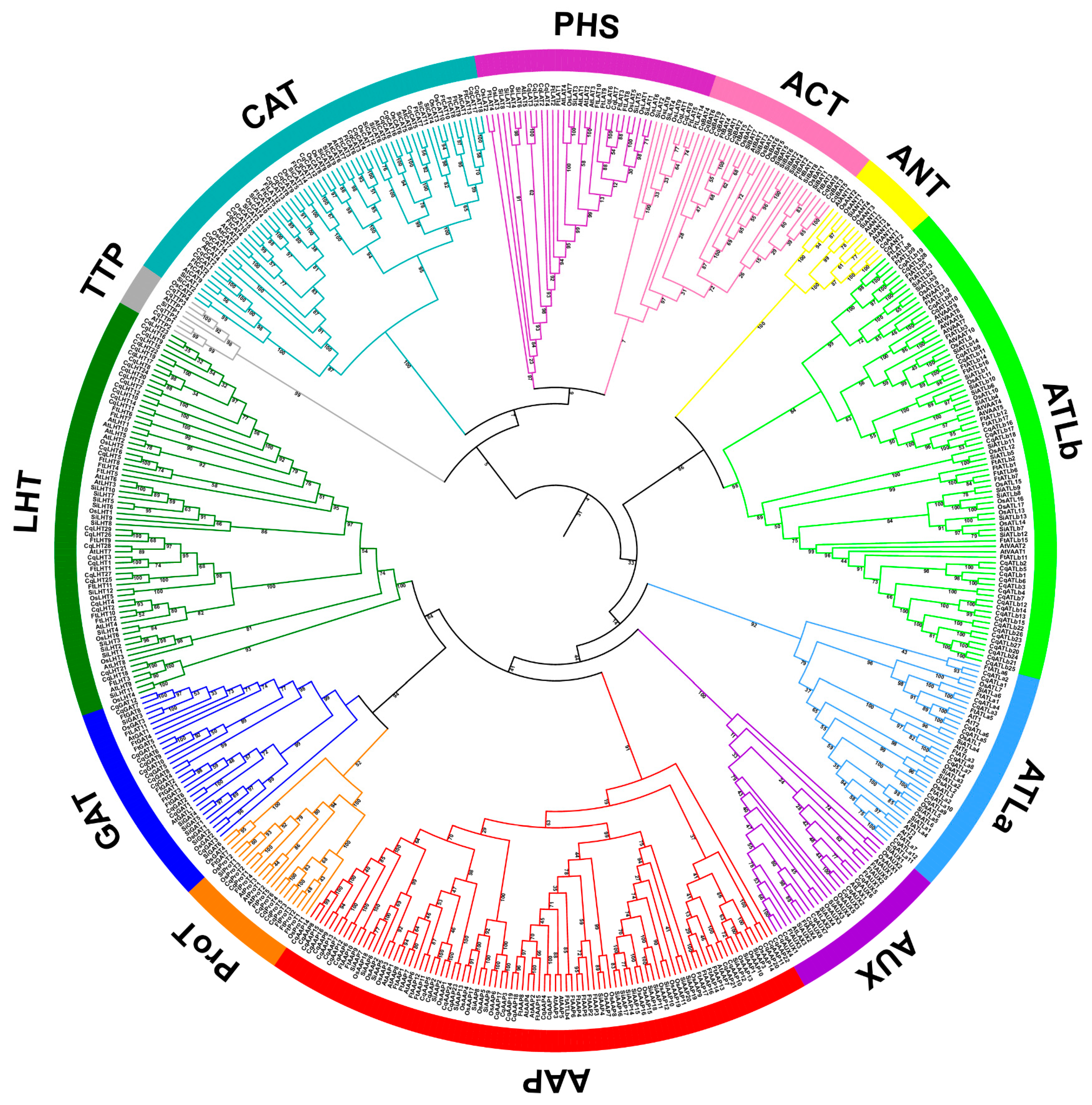 Agronomy 14 01648 g002