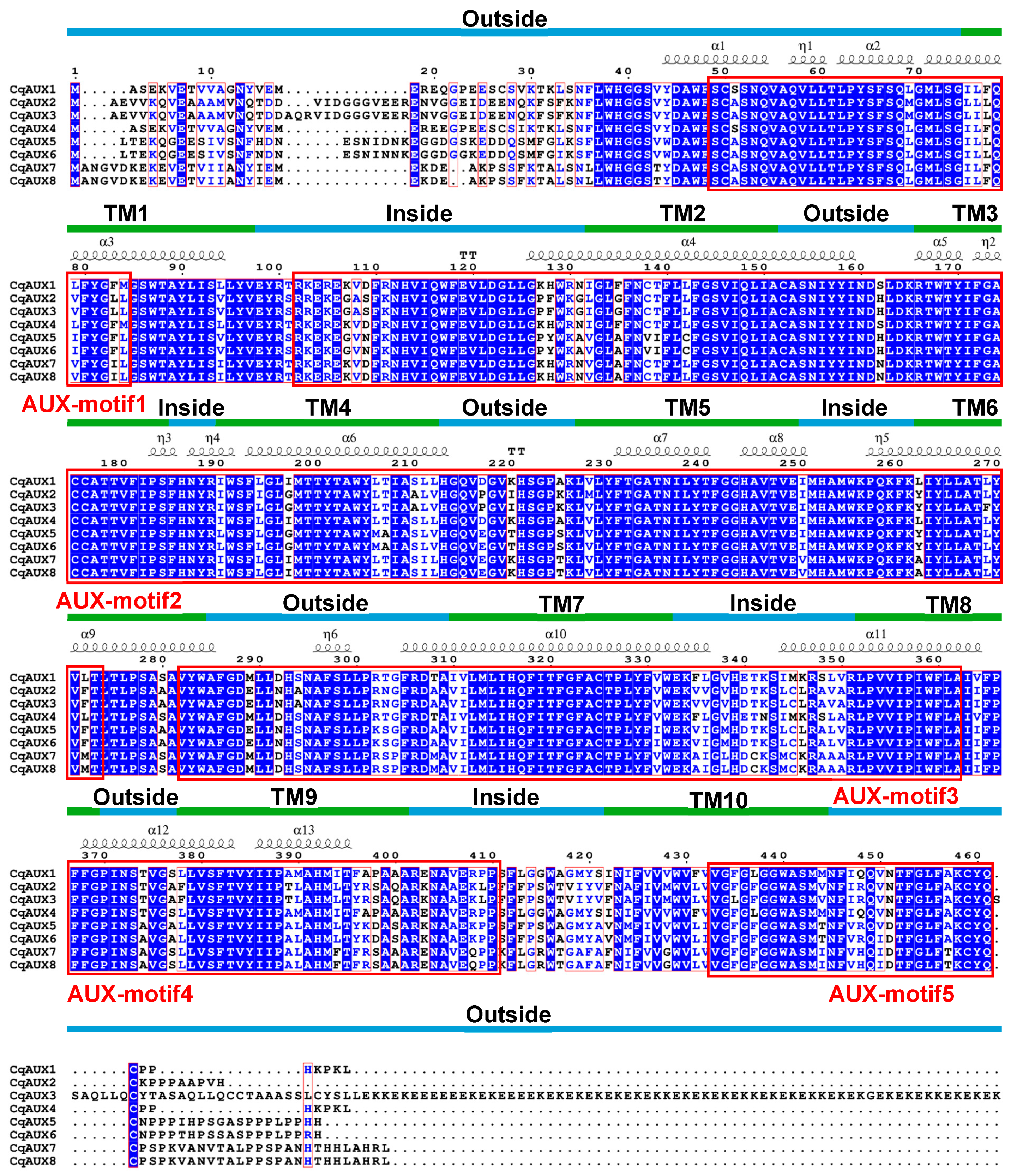 Agronomy 14 01648 g004