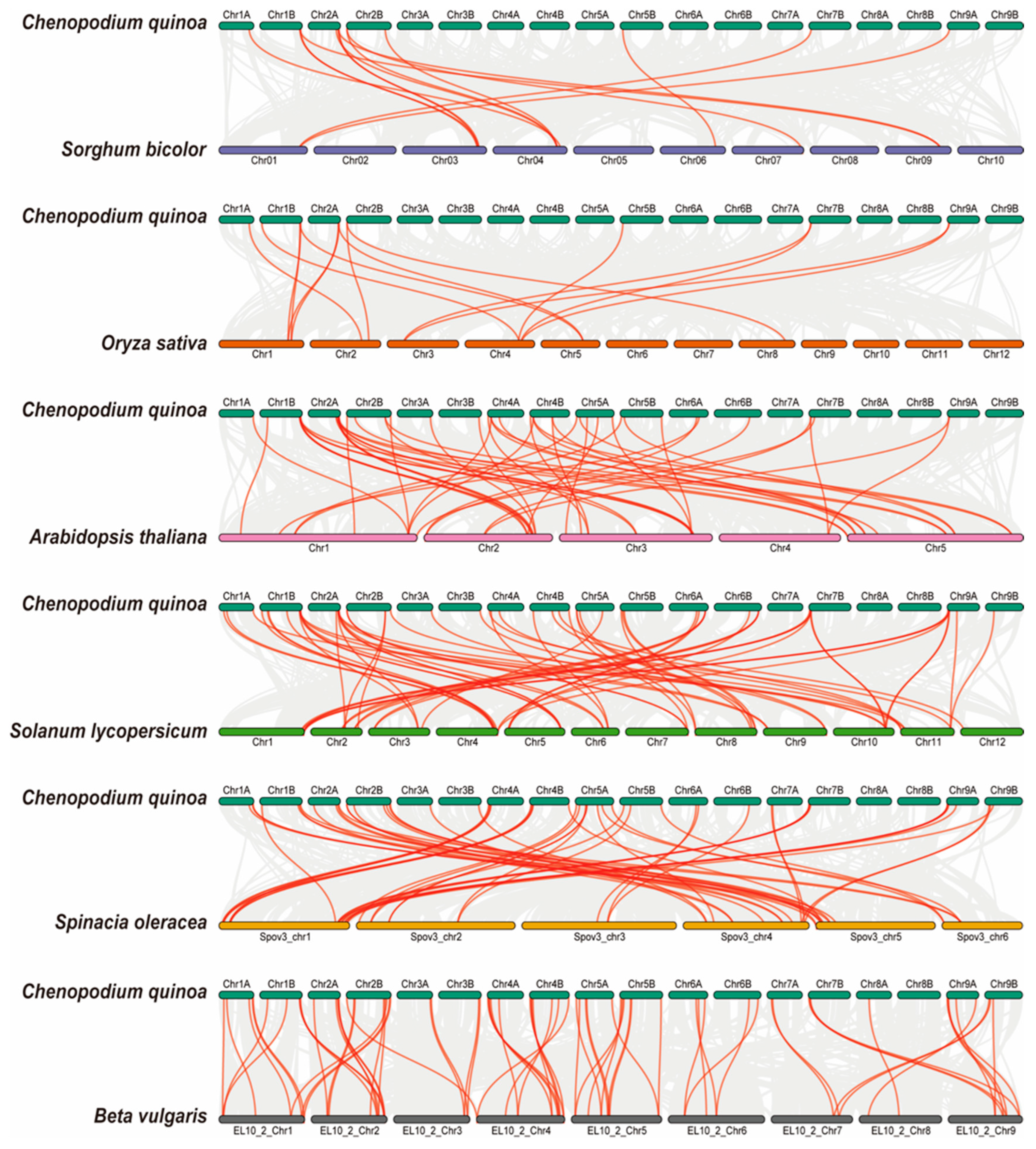 Agronomy 14 01648 g006