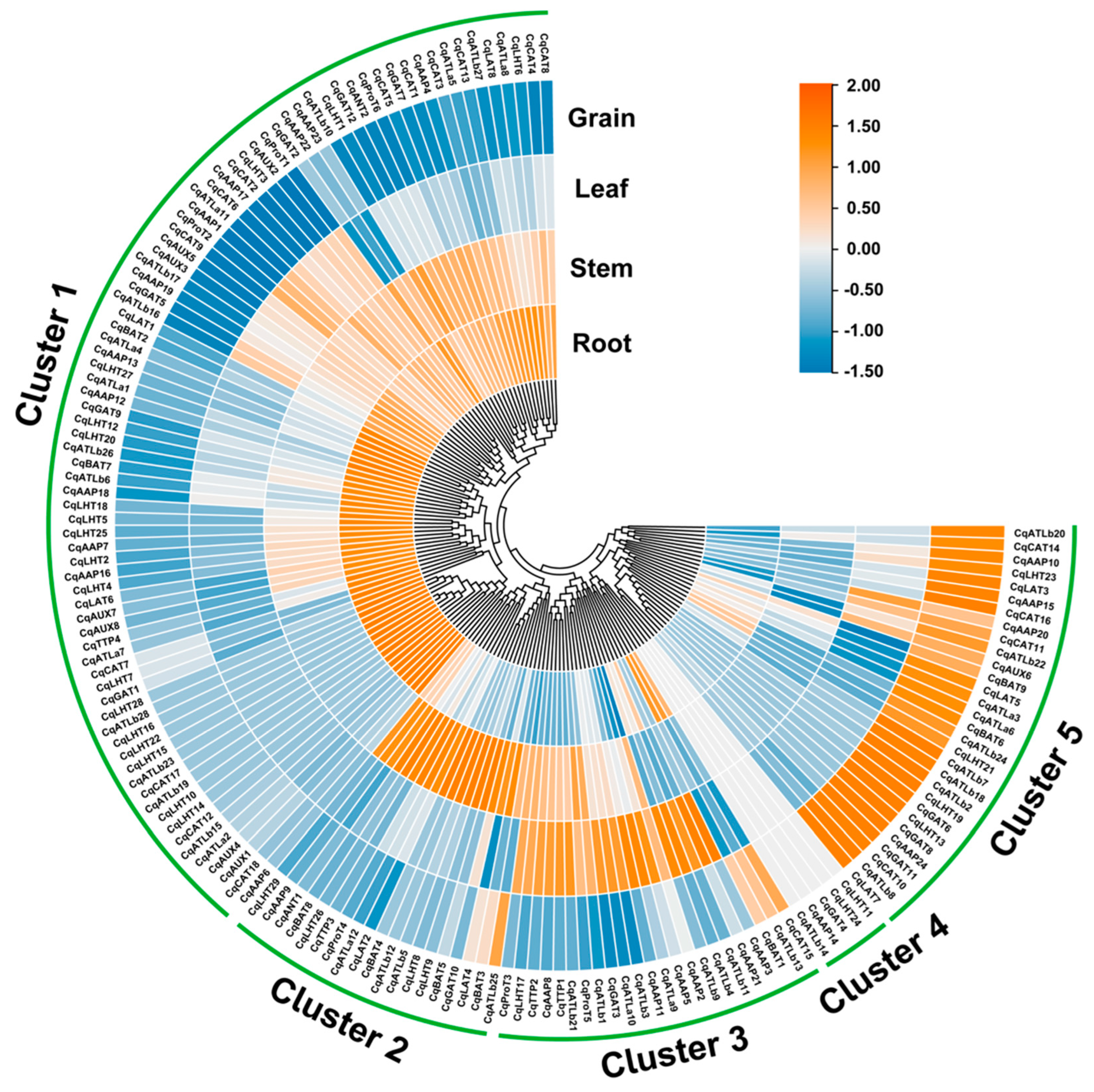 Agronomy 14 01648 g007