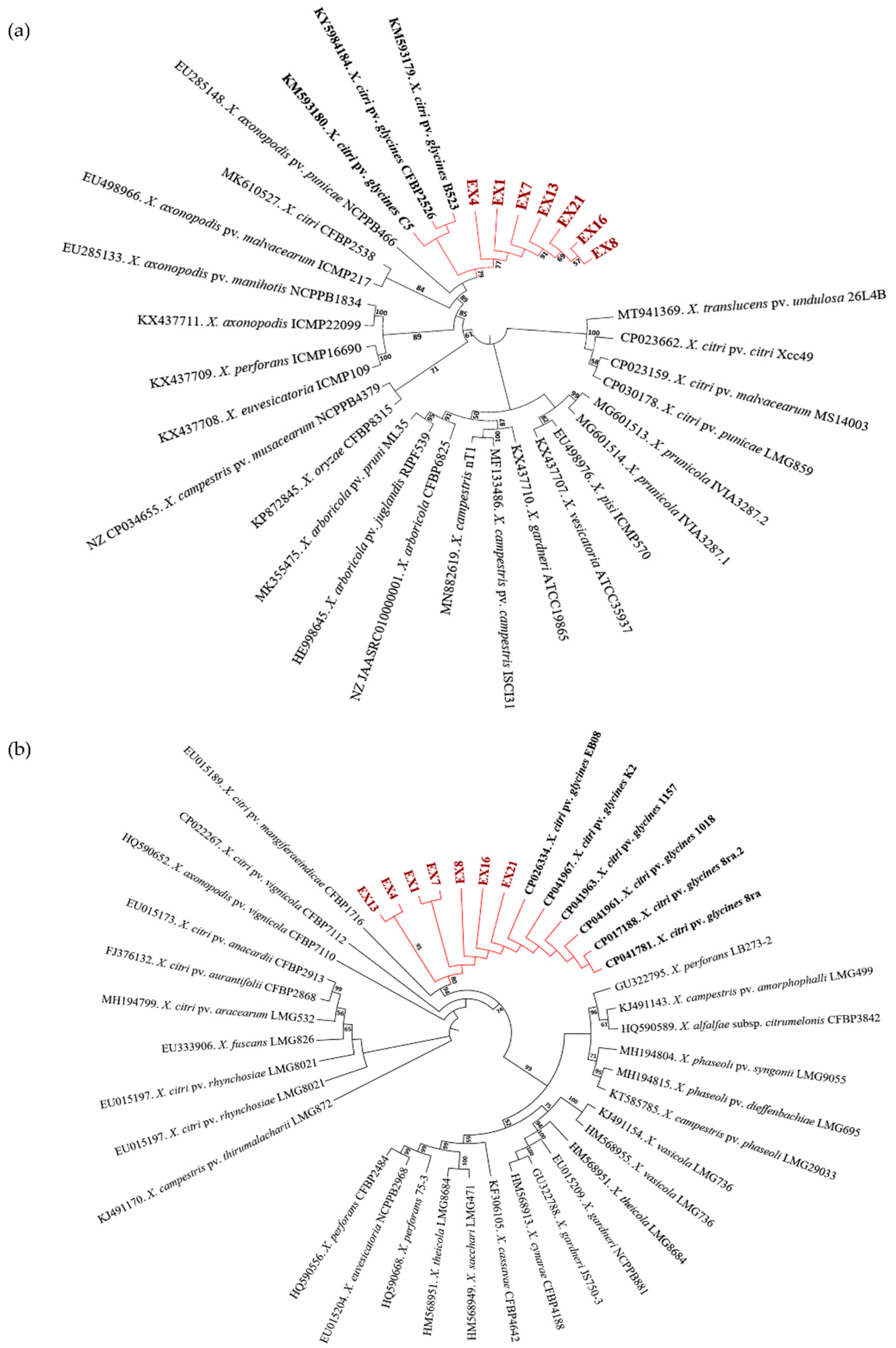 Agronomy 14 01660 g003