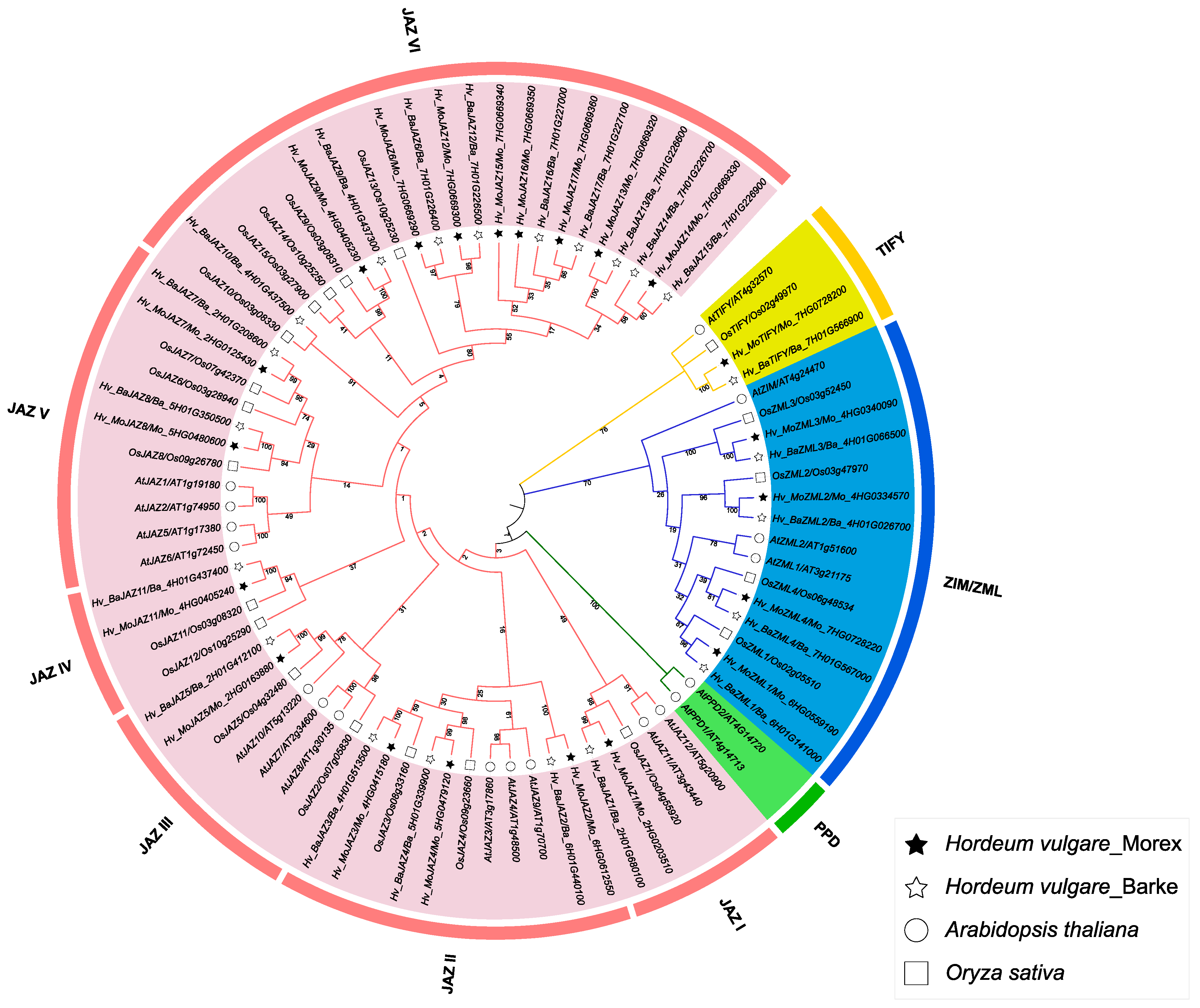 Agronomy 14 01663 g001