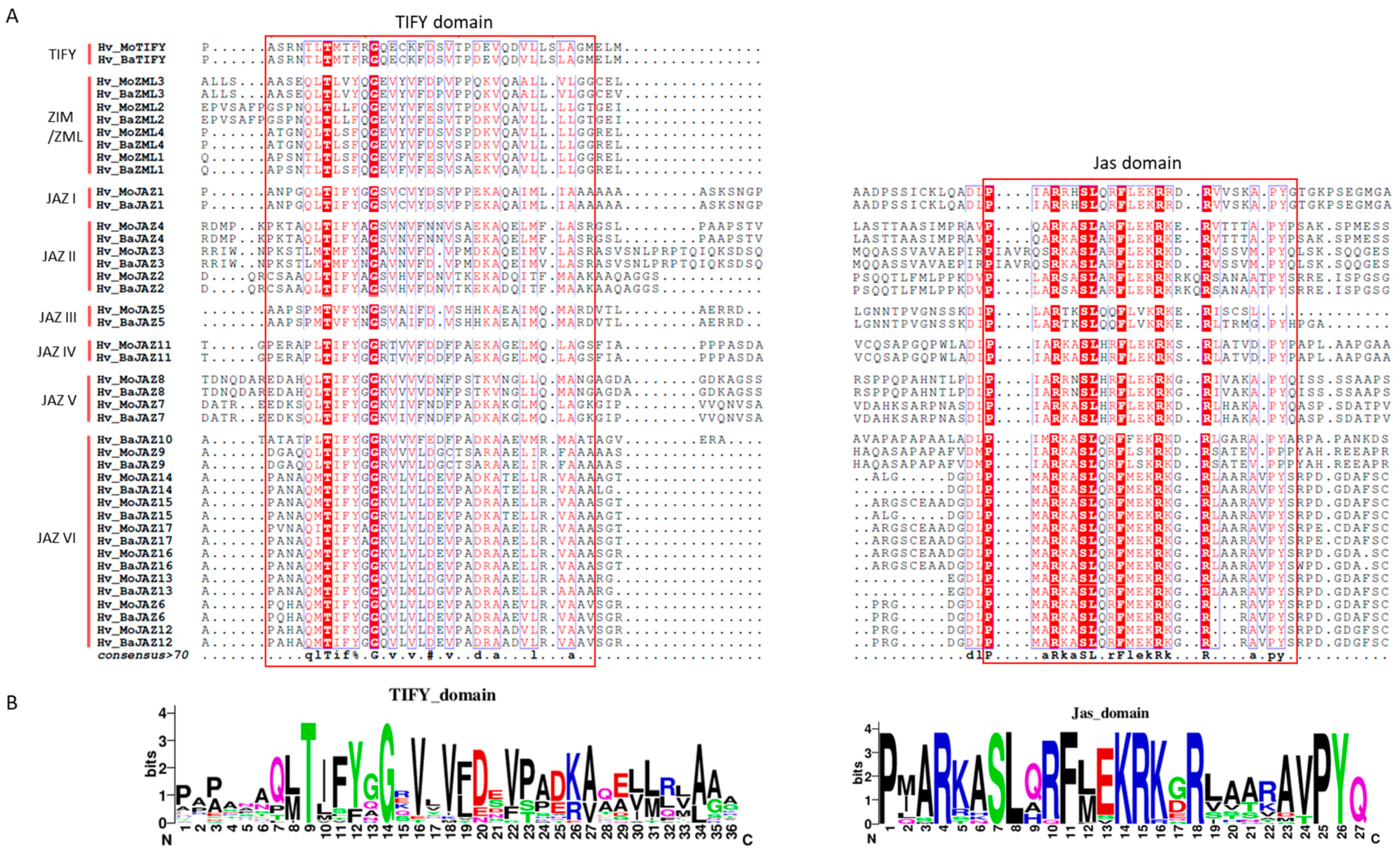 Agronomy 14 01663 g003