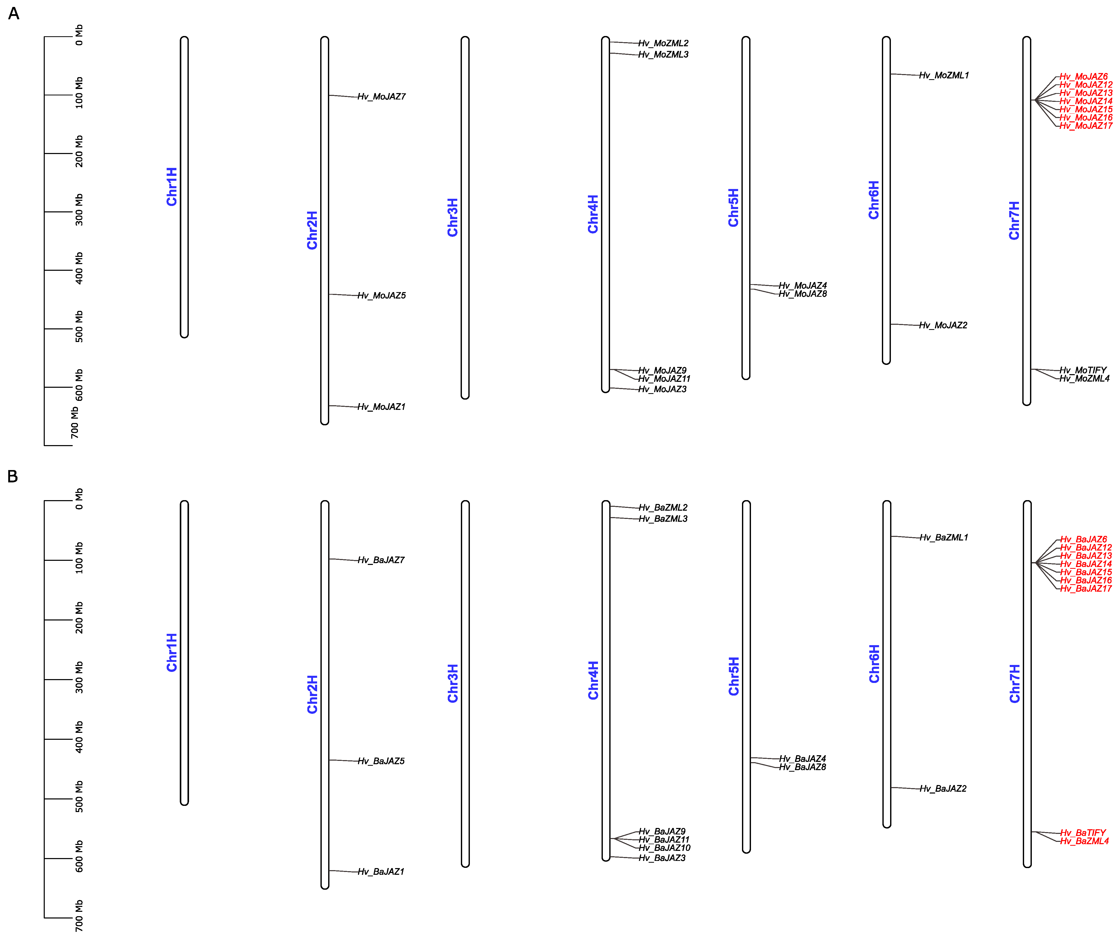 Agronomy 14 01663 g004