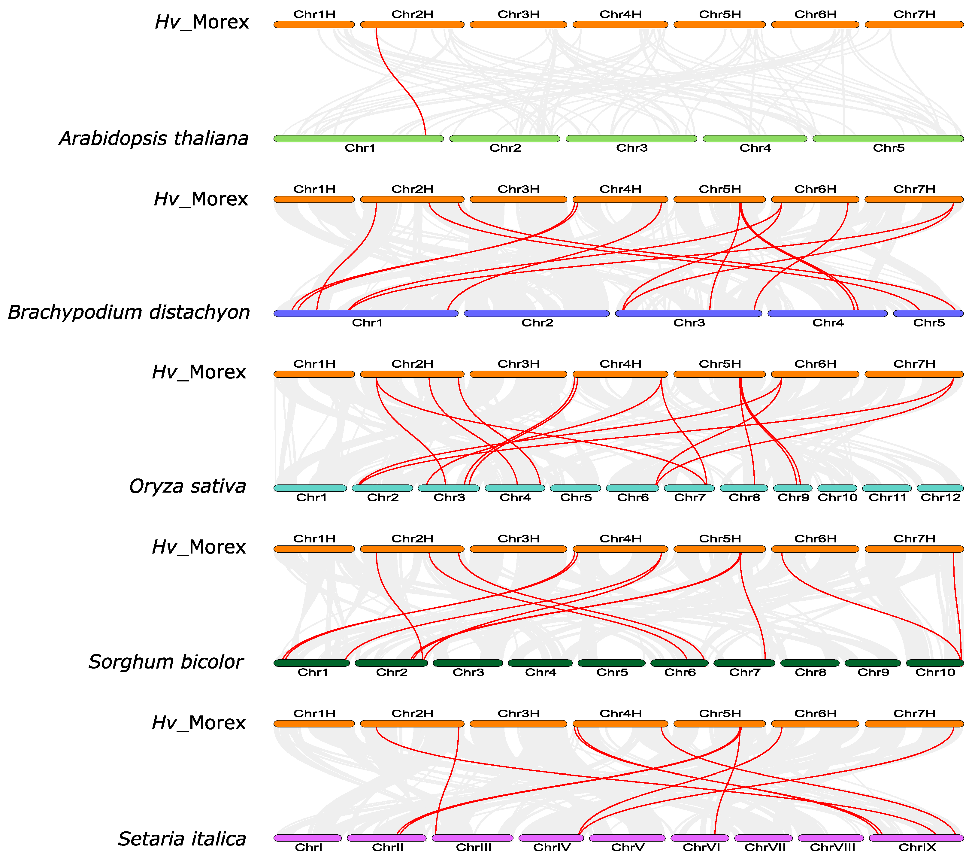 Agronomy 14 01663 g006