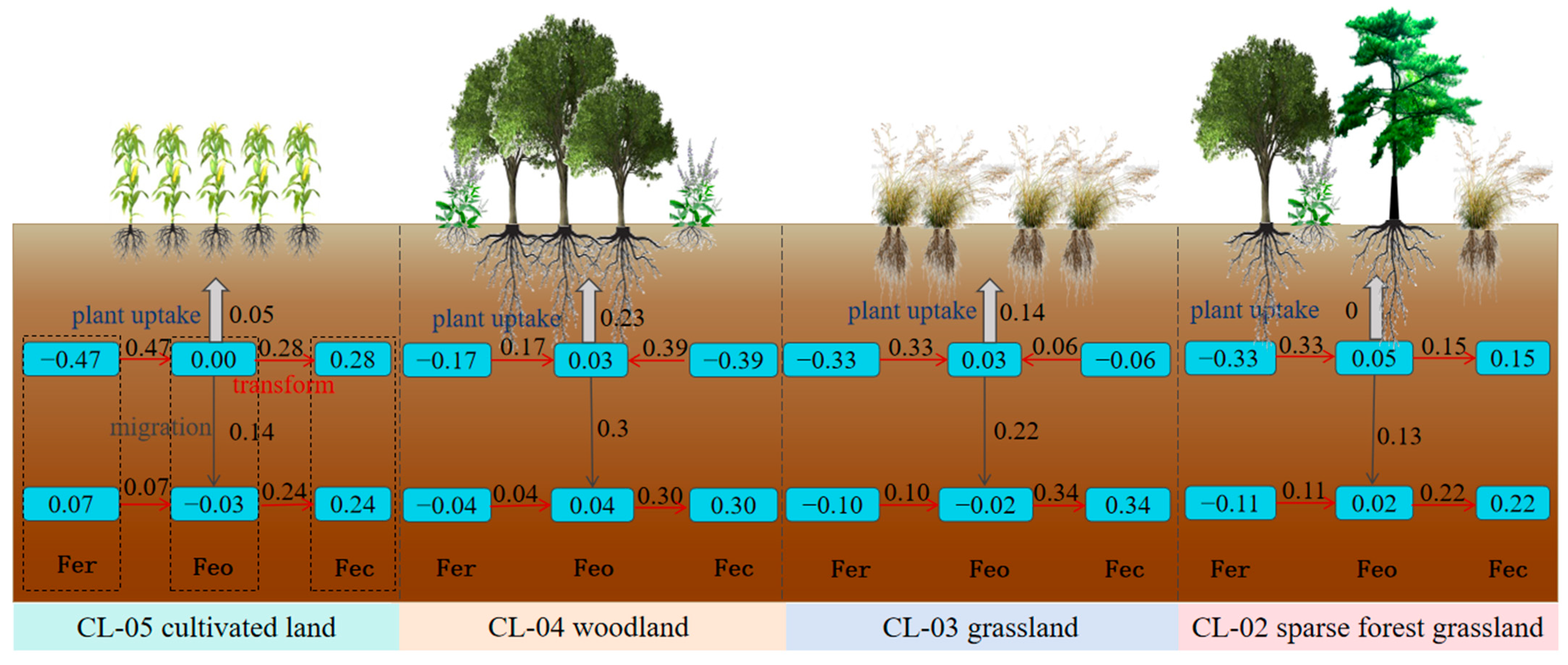 Agronomy 14 01669 g016