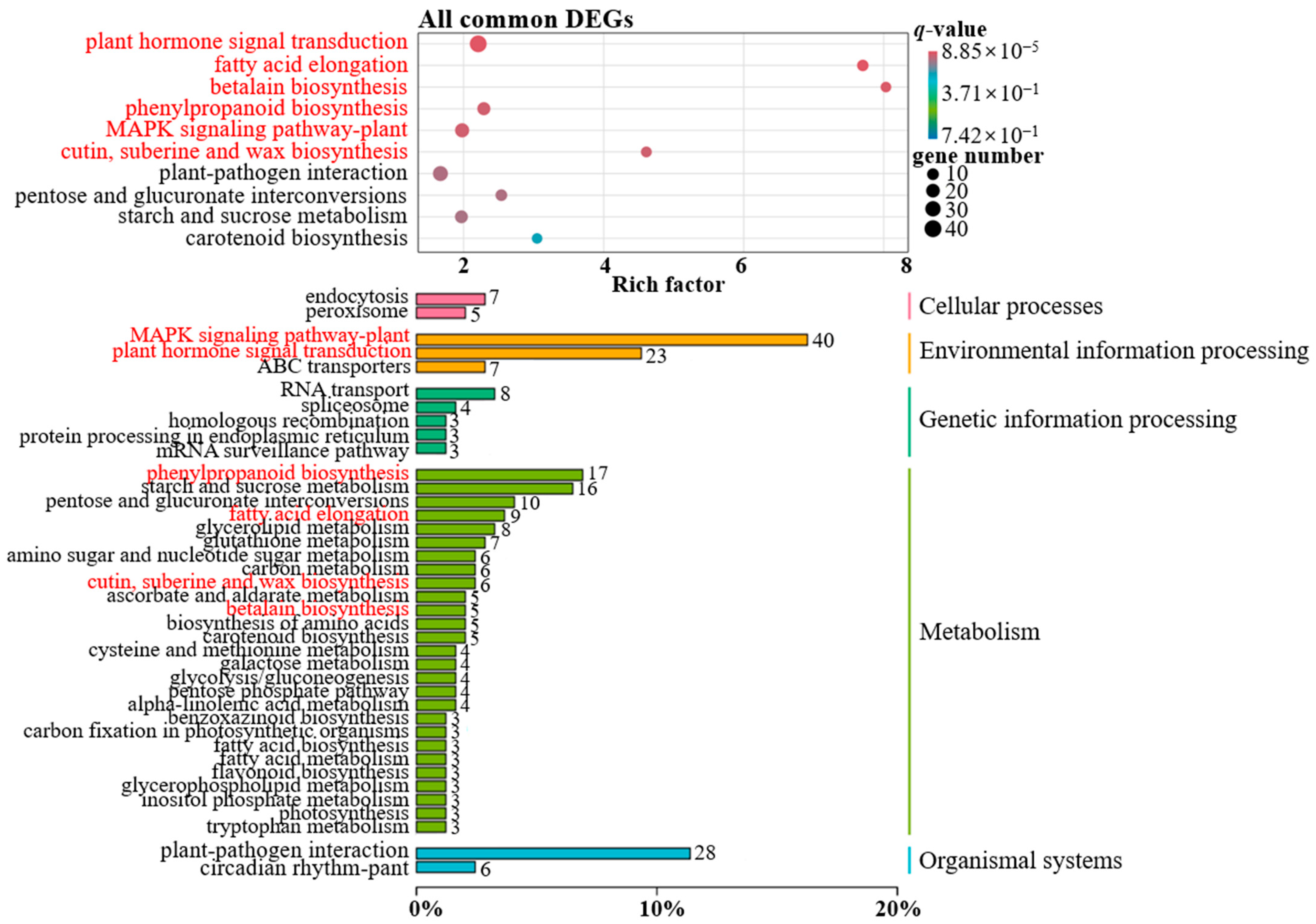 Agronomy 14 01689 g008