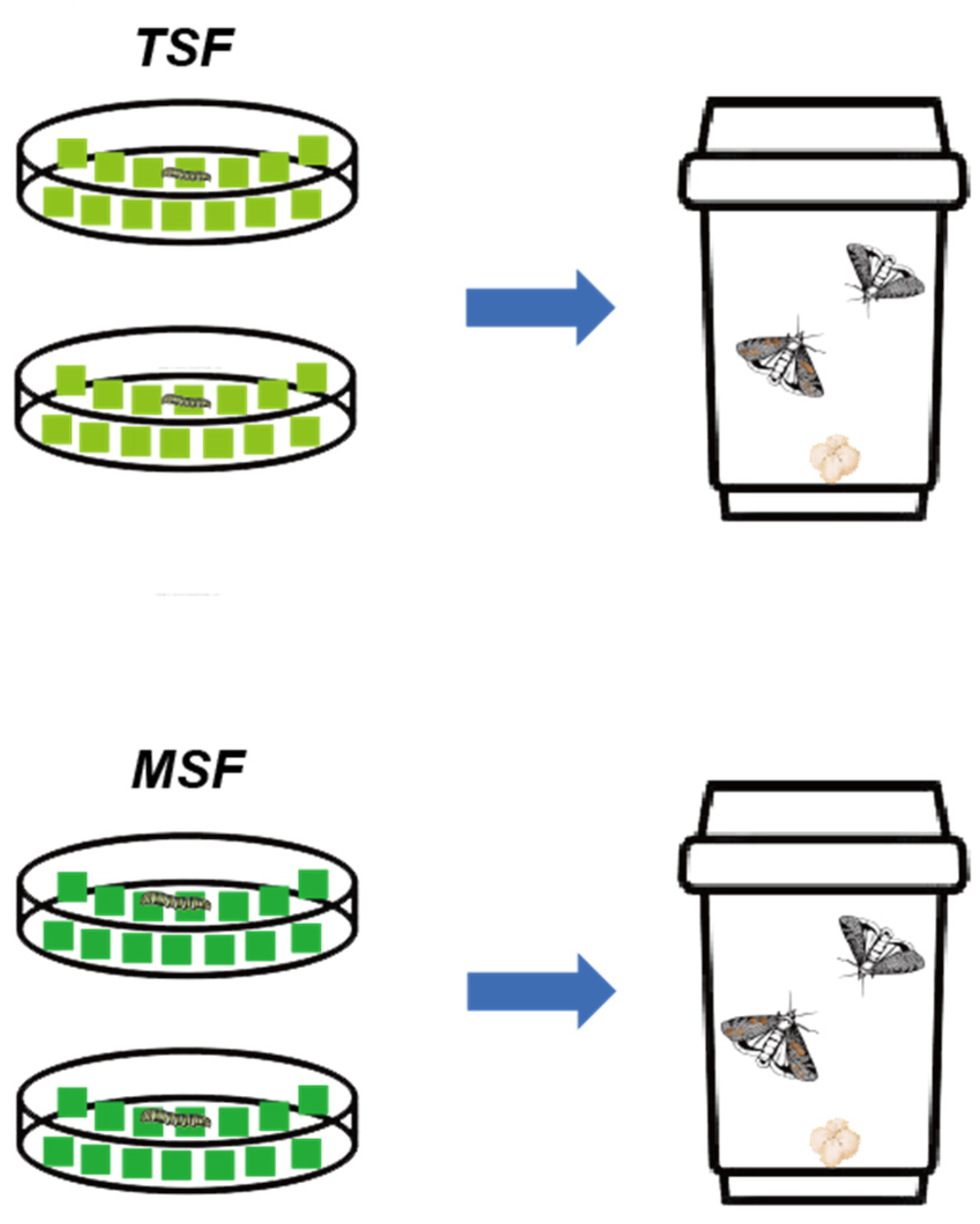 Agronomy 14 01690 g001 Agronomy 14 01690 g001