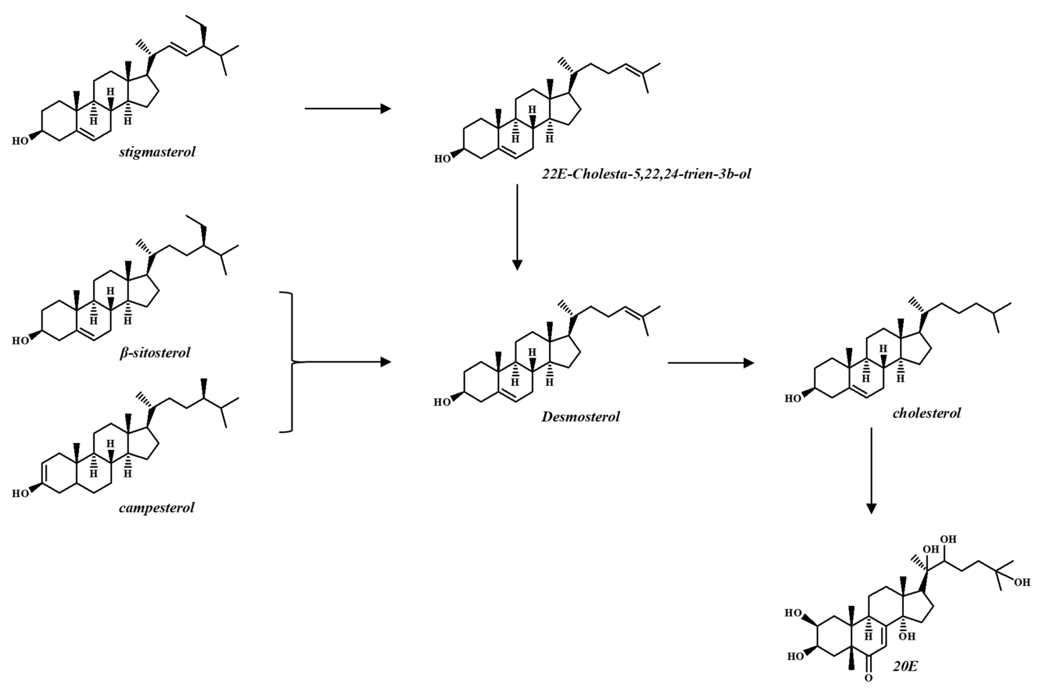Agronomy 14 01690 g006 Agronomy 14 01690 g006