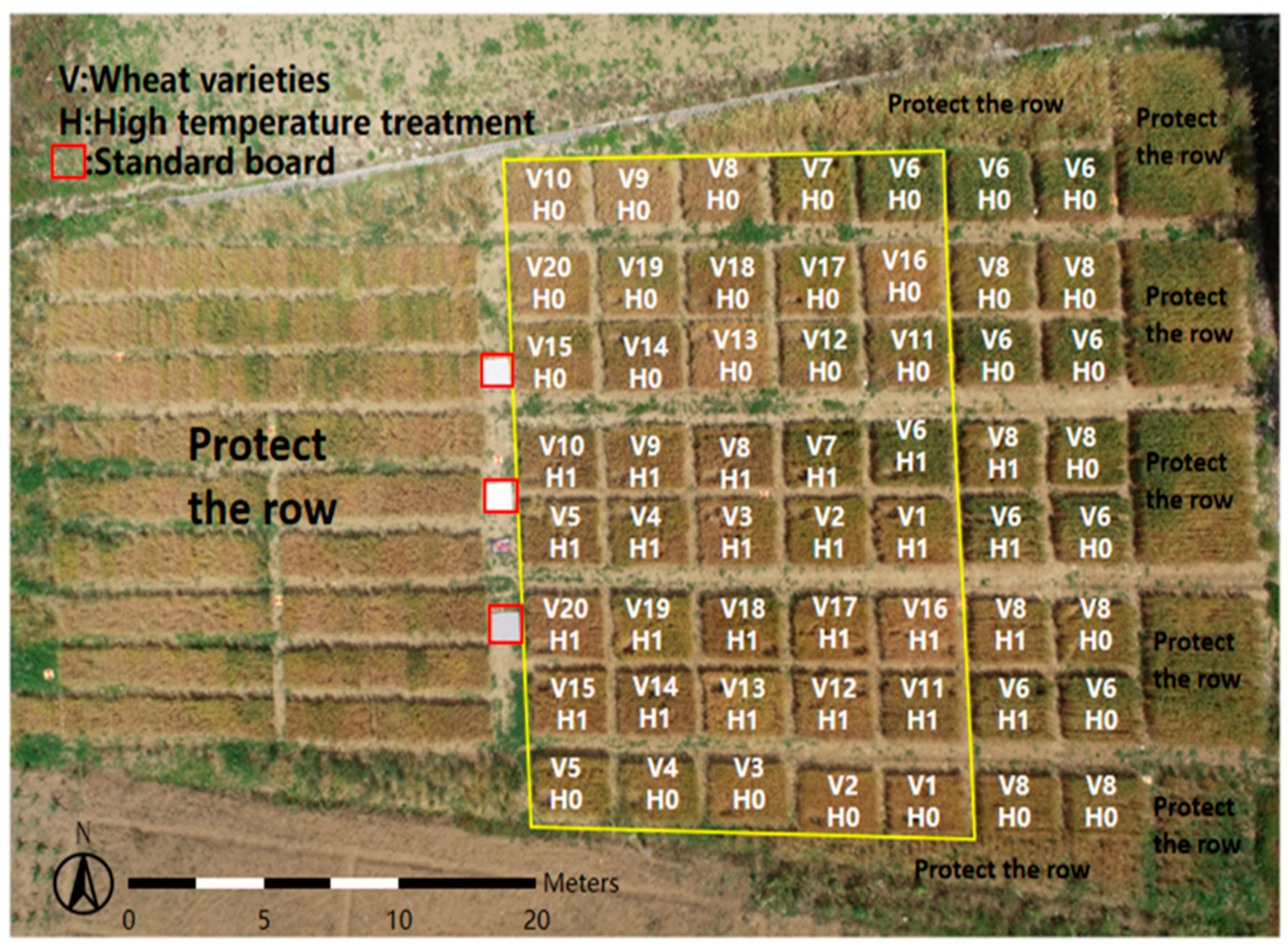 Agronomy 14 01694 g001