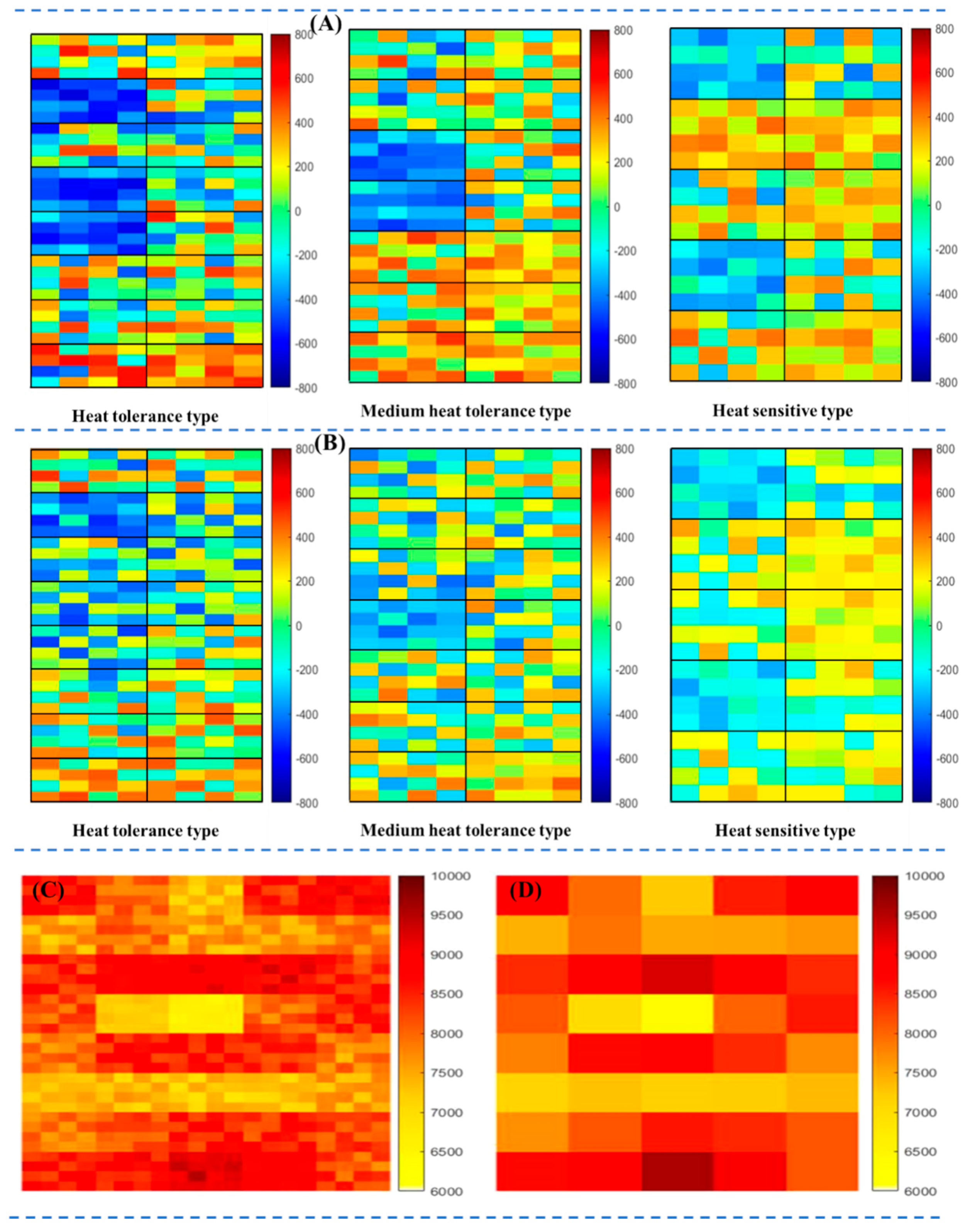 Agronomy 14 01694 g011