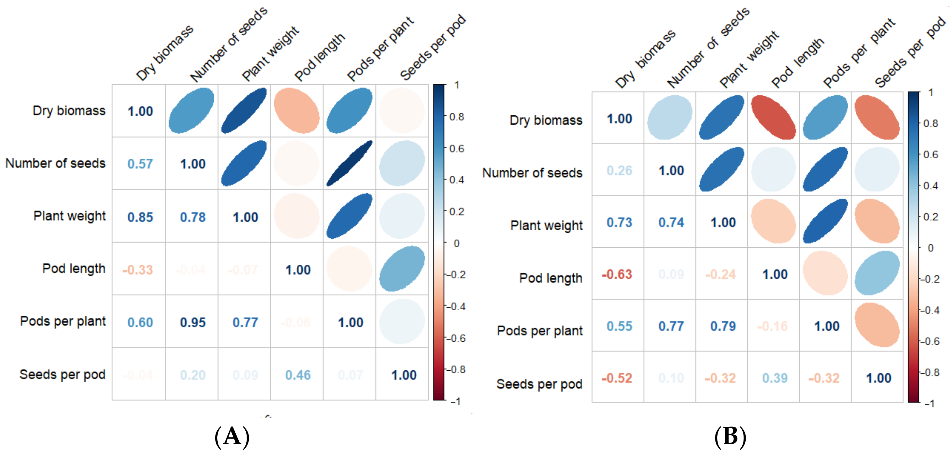 Agronomy 14 01695 g004