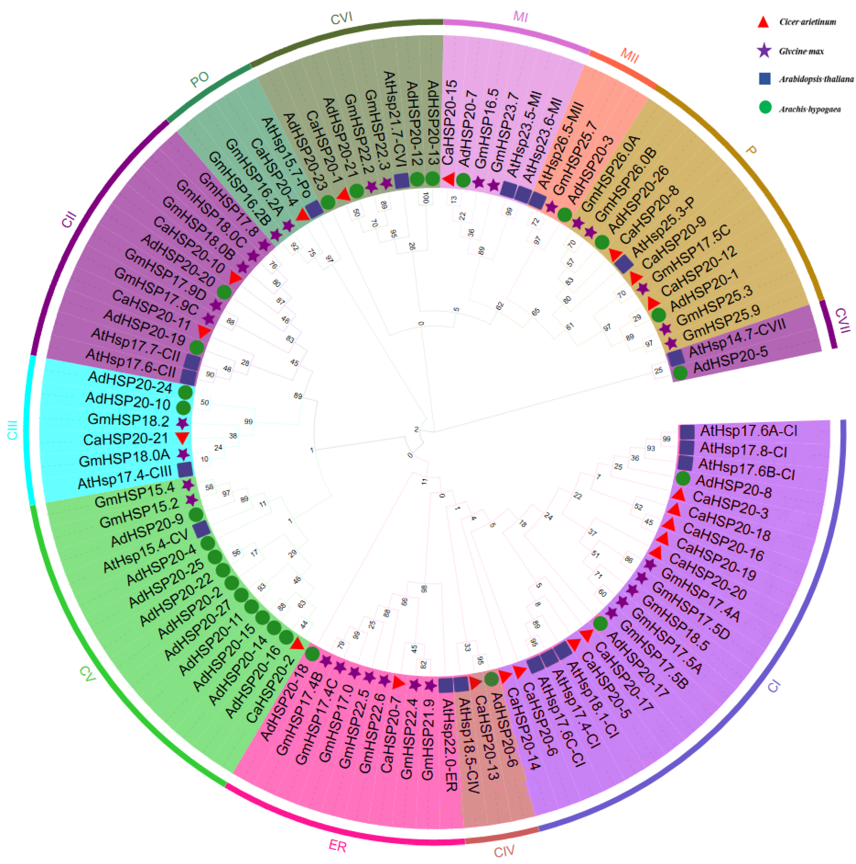 Agronomy 14 01696 g005