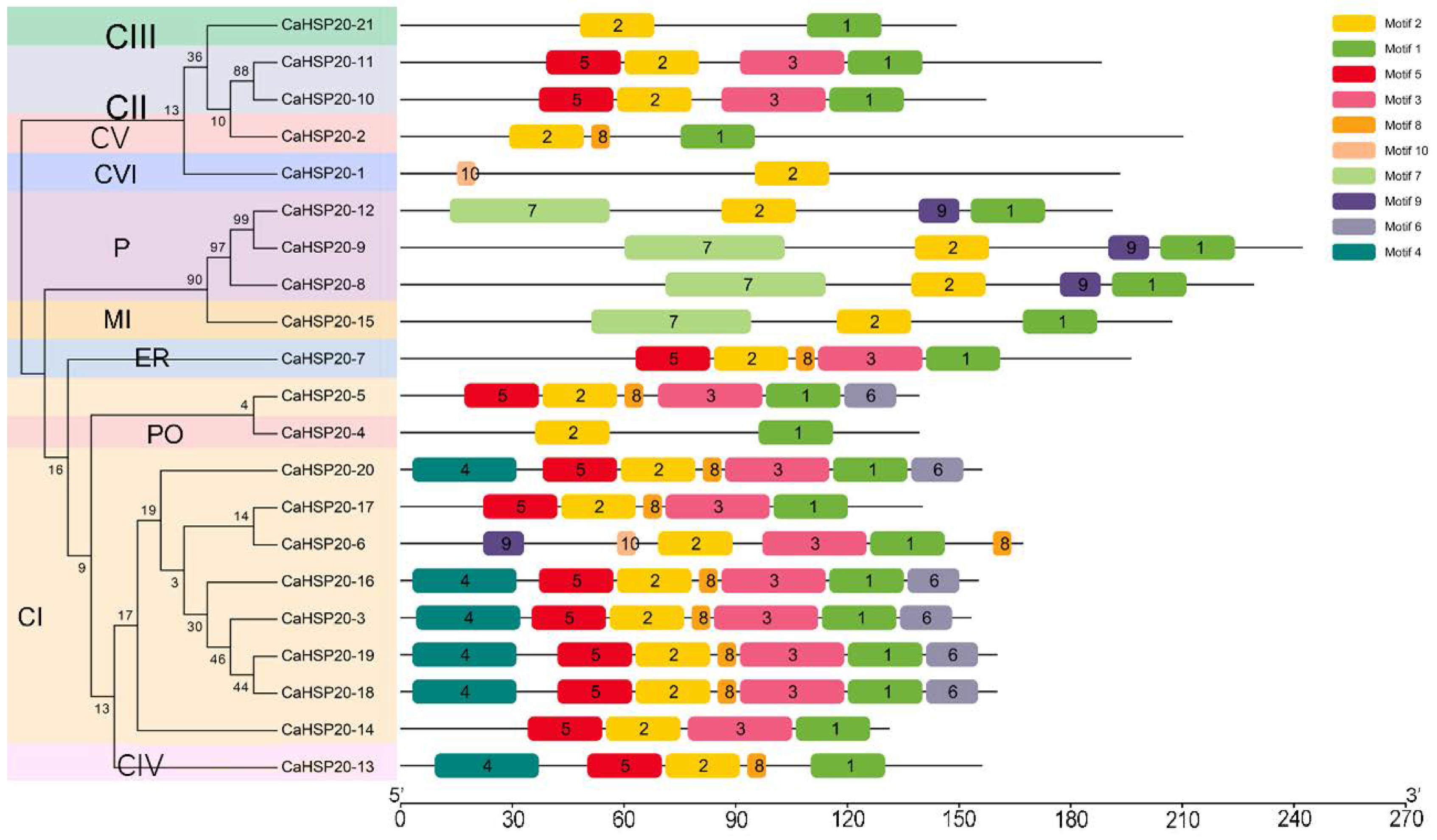 Agronomy 14 01696 g006