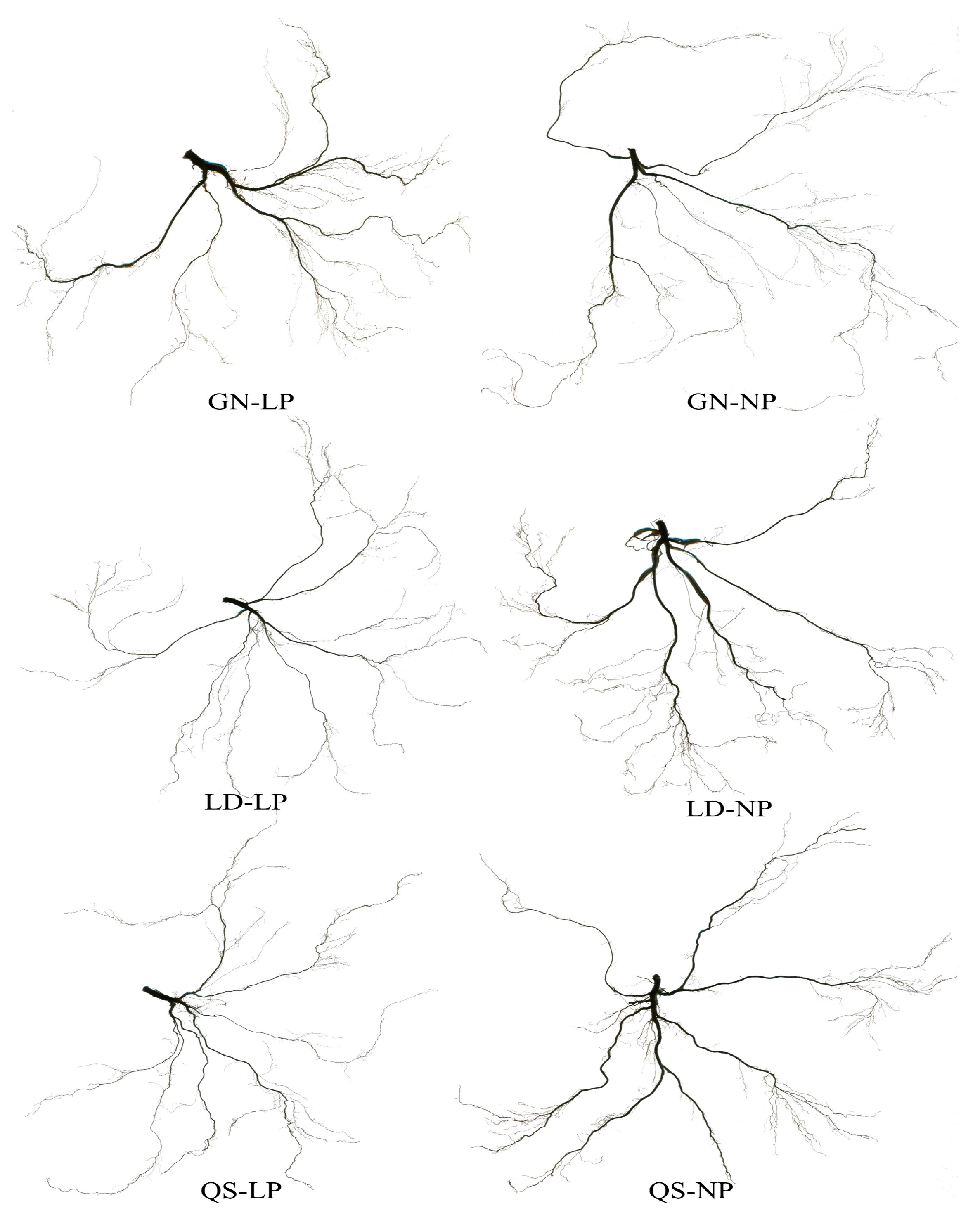 Agronomy 14 01697 g002