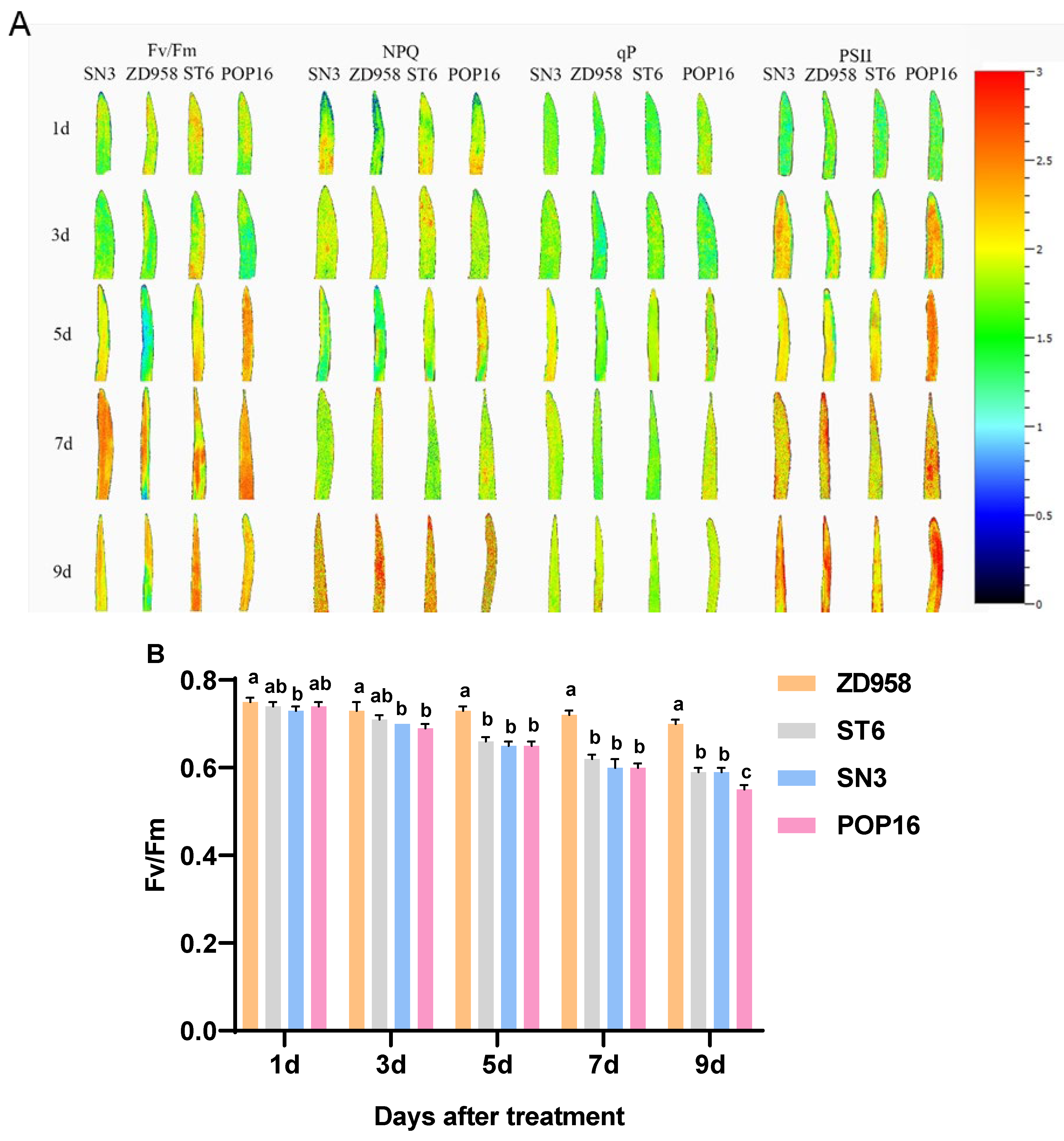 Agronomy 14 01701 g007a