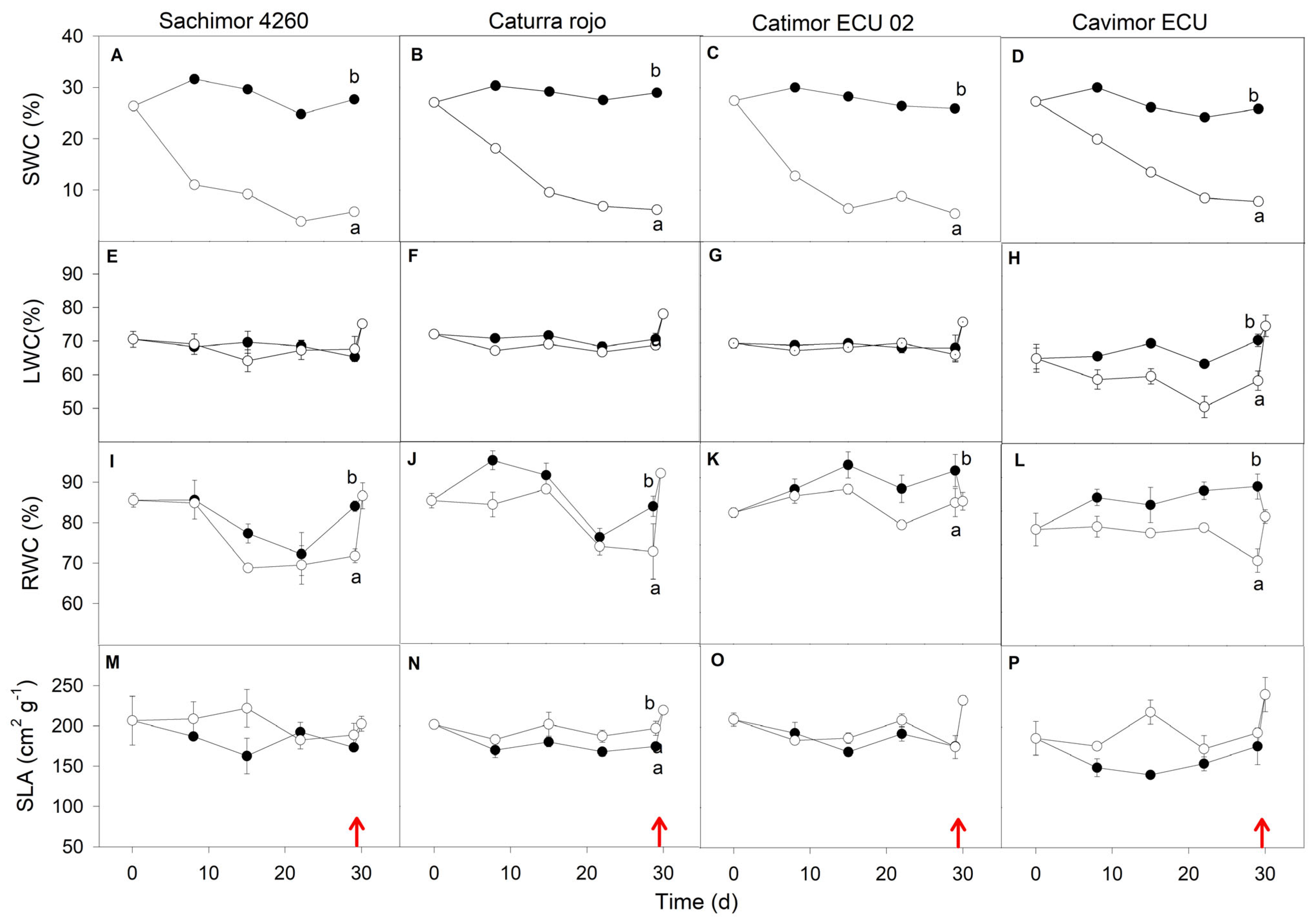 Agronomy 14 01713 g002