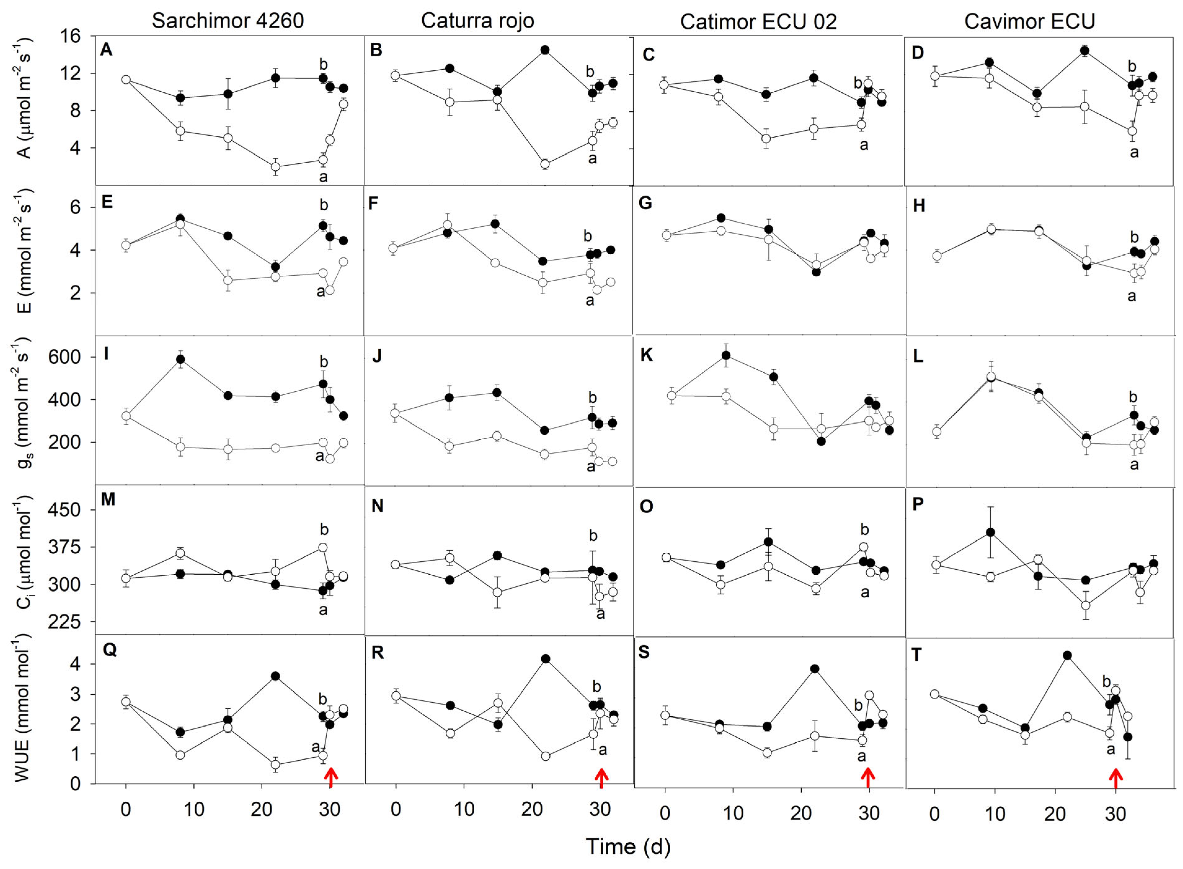 Agronomy 14 01713 g003