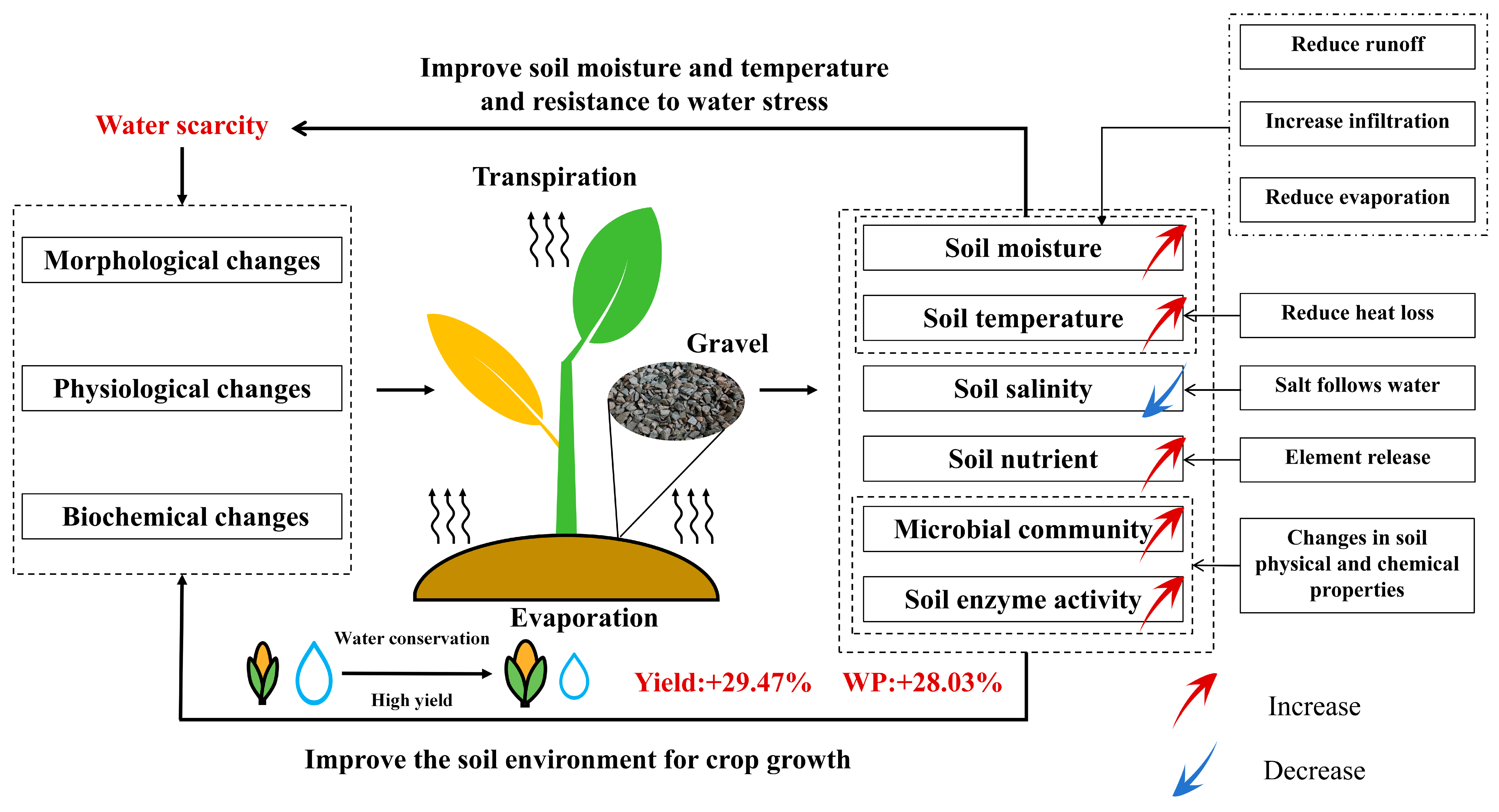 Agronomy 14 01717 g010 Agronomy 14 01717 g010