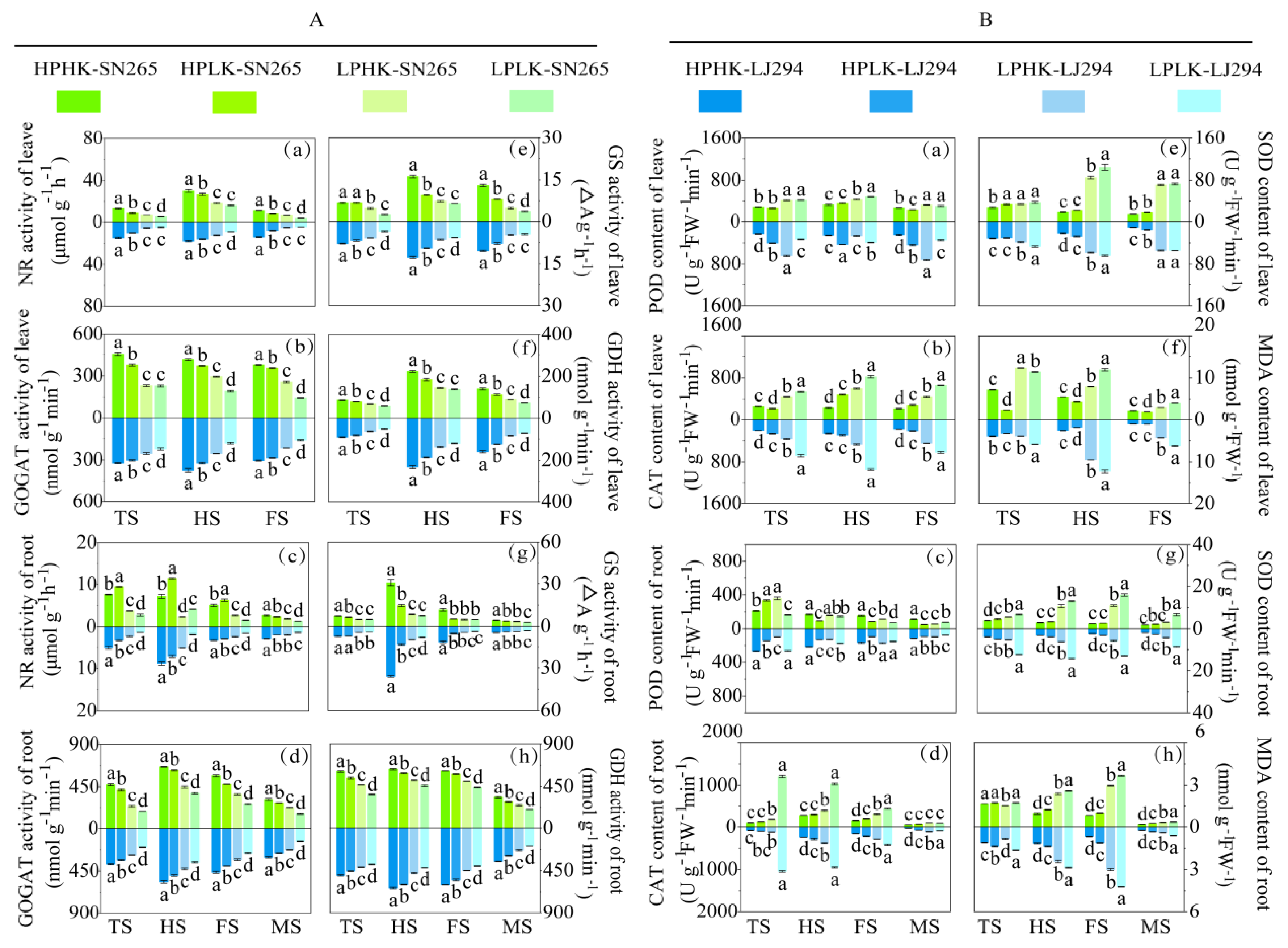 Agronomy 14 01726 g003