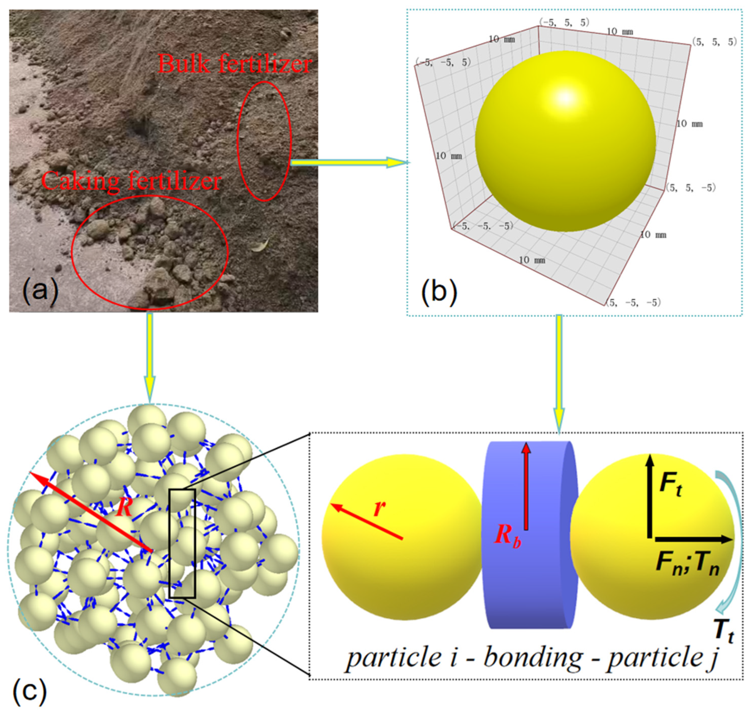 Agronomy 14 01732 g005
