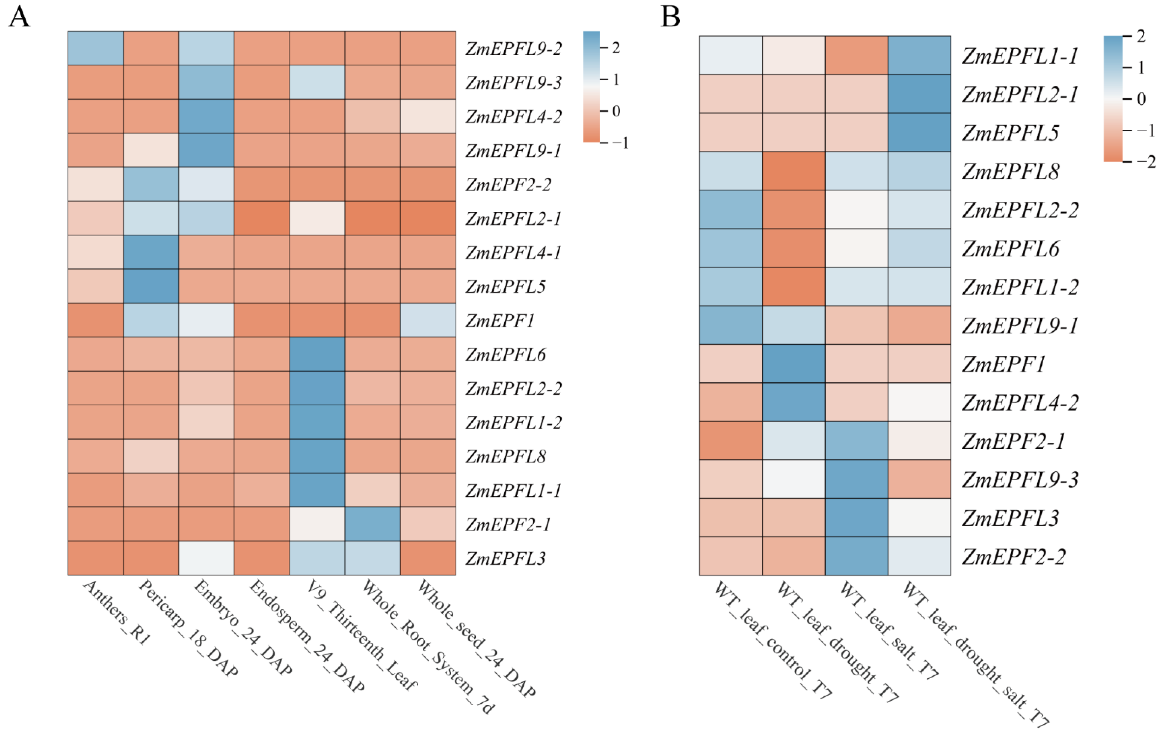 Agronomy 14 01734 g007