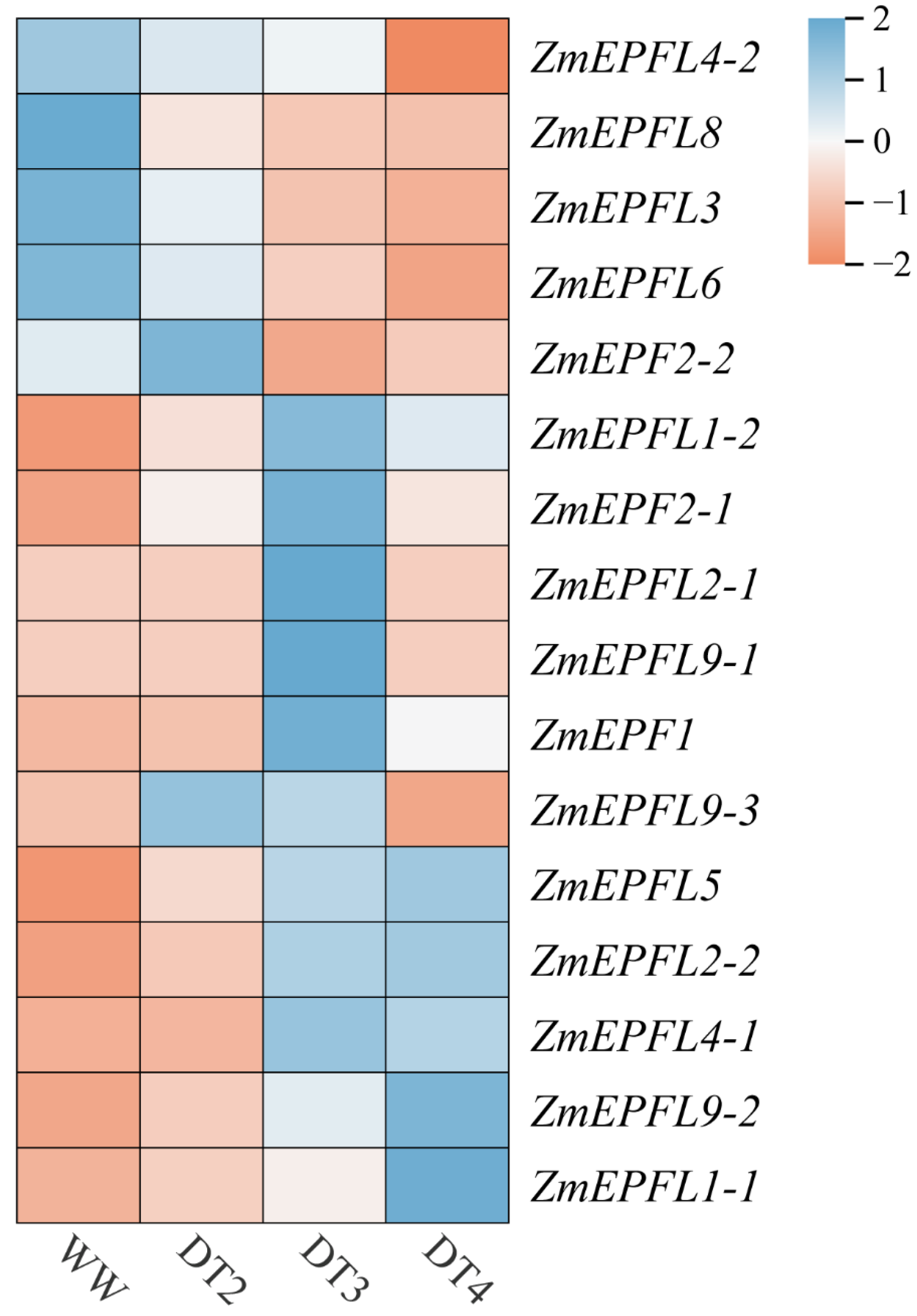 Agronomy 14 01734 g008