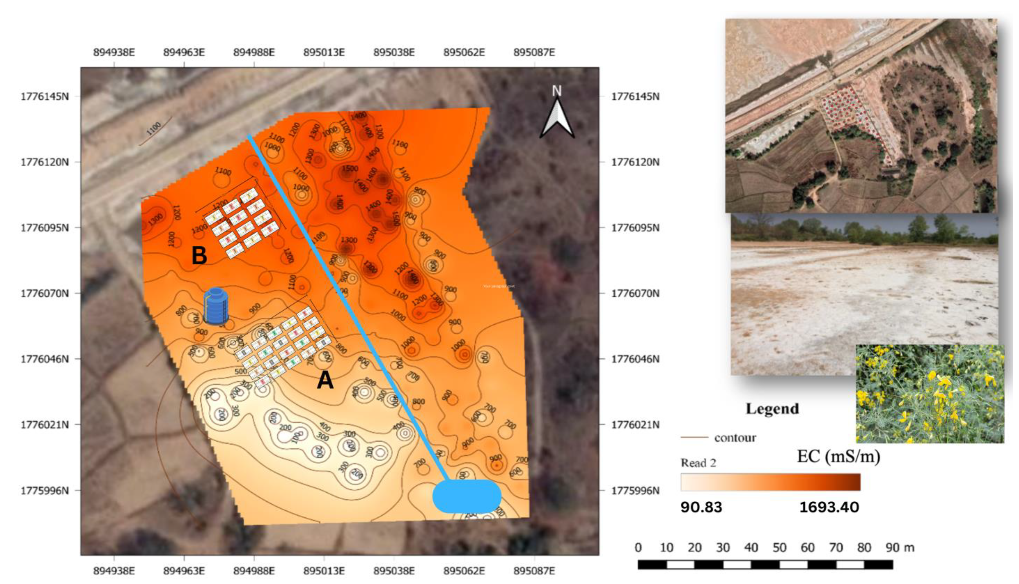 Agronomy 14 01745 g002 Agronomy 14 01745 g002