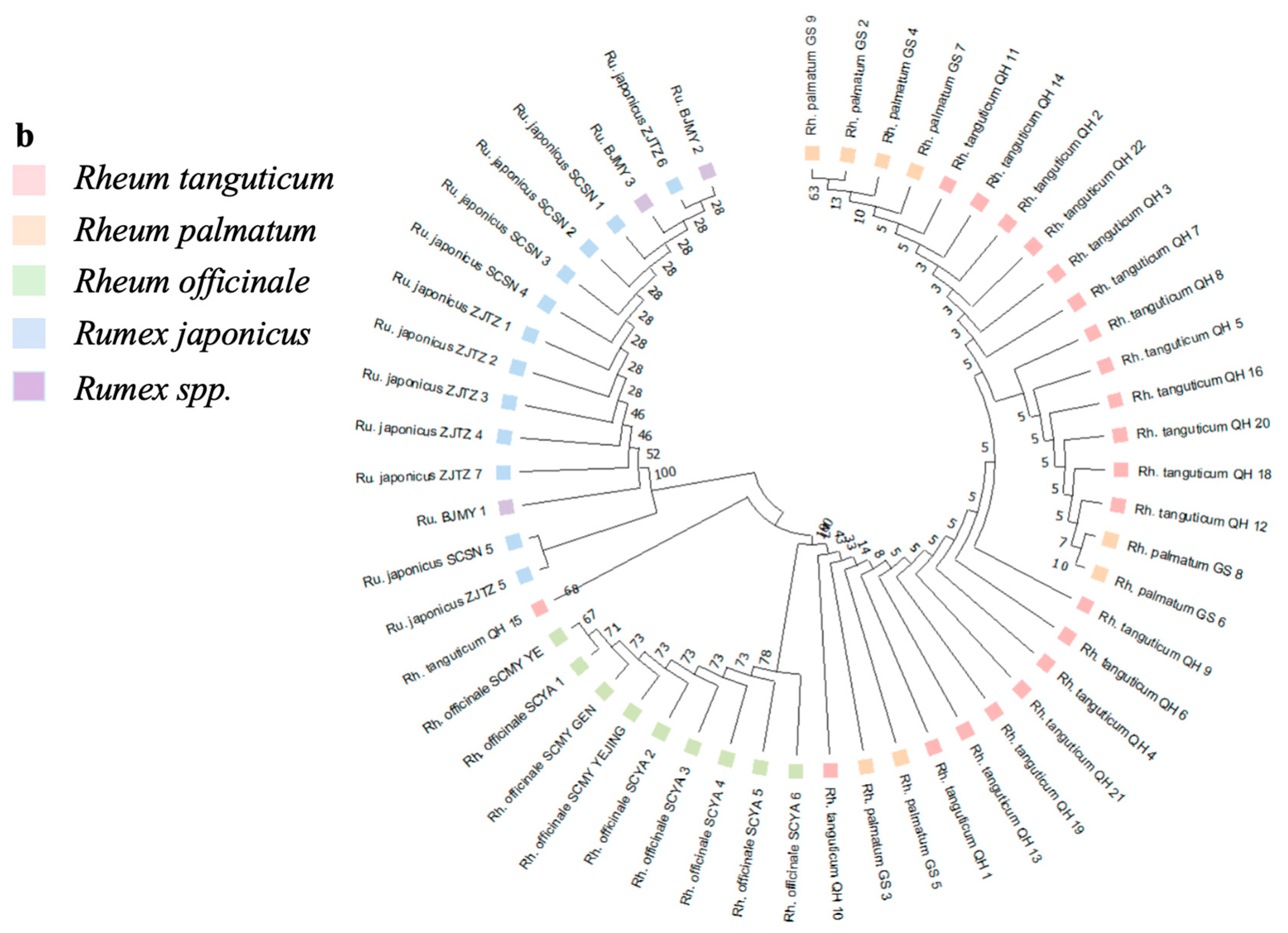 Agronomy 14 01746 g002b