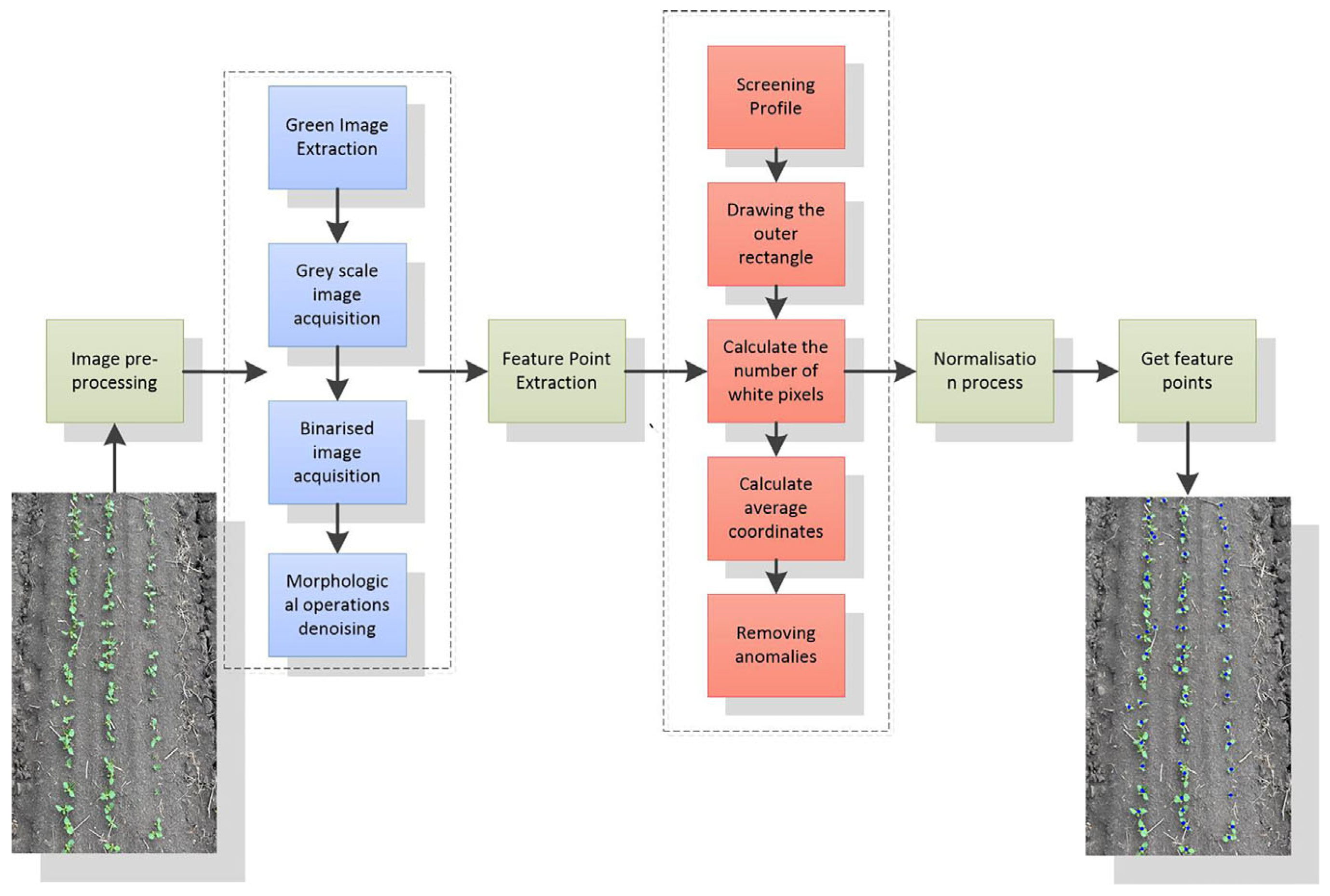 Agronomy 14 01749 g006