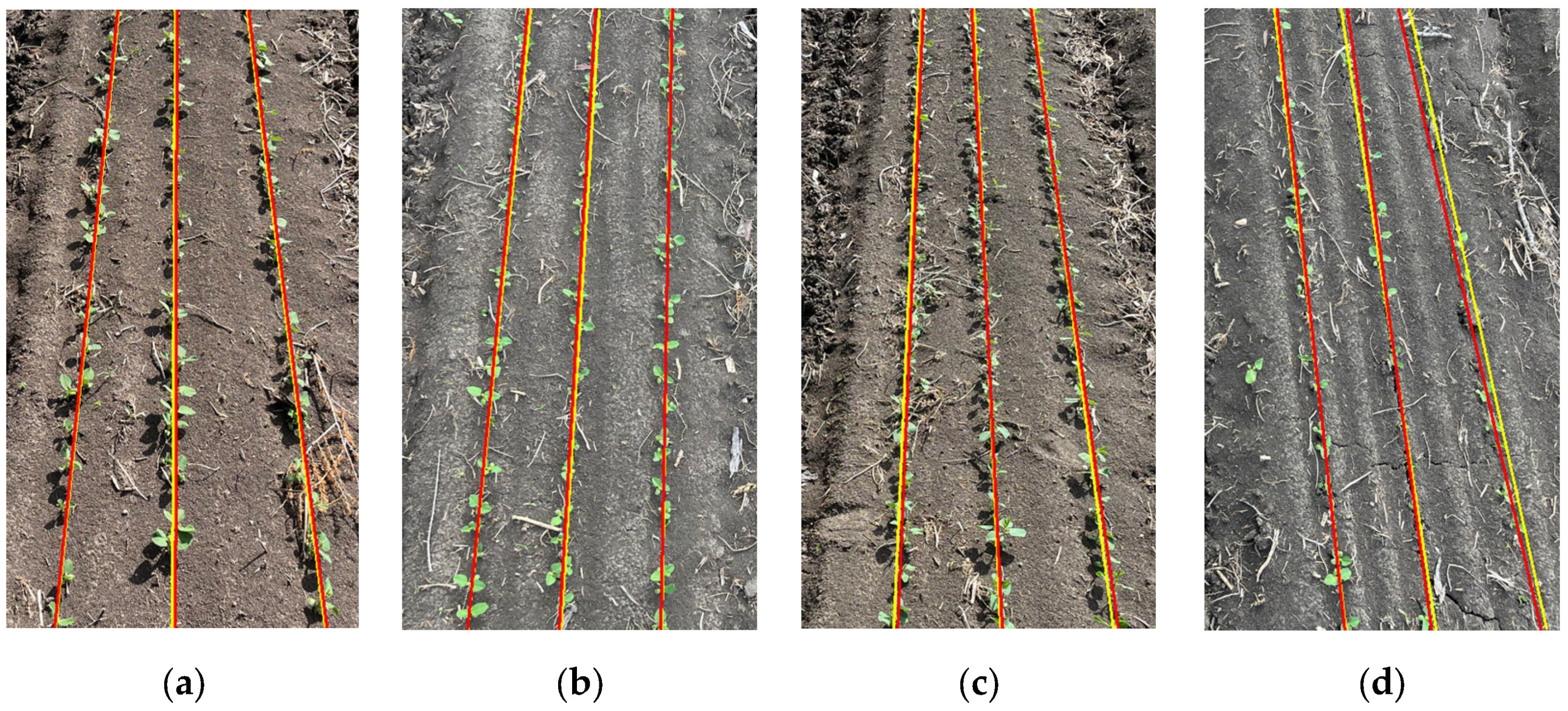 Agronomy 14 01749 g015