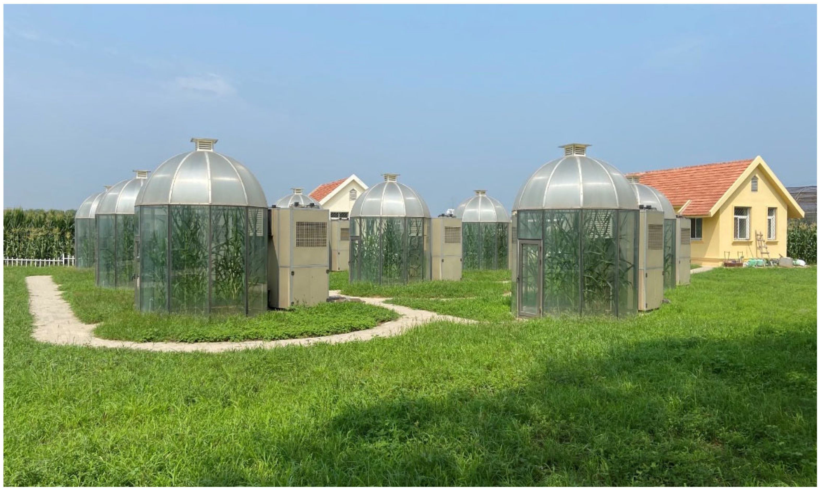 Agronomy 14 01751 g001 Agronomy 14 01751 g001