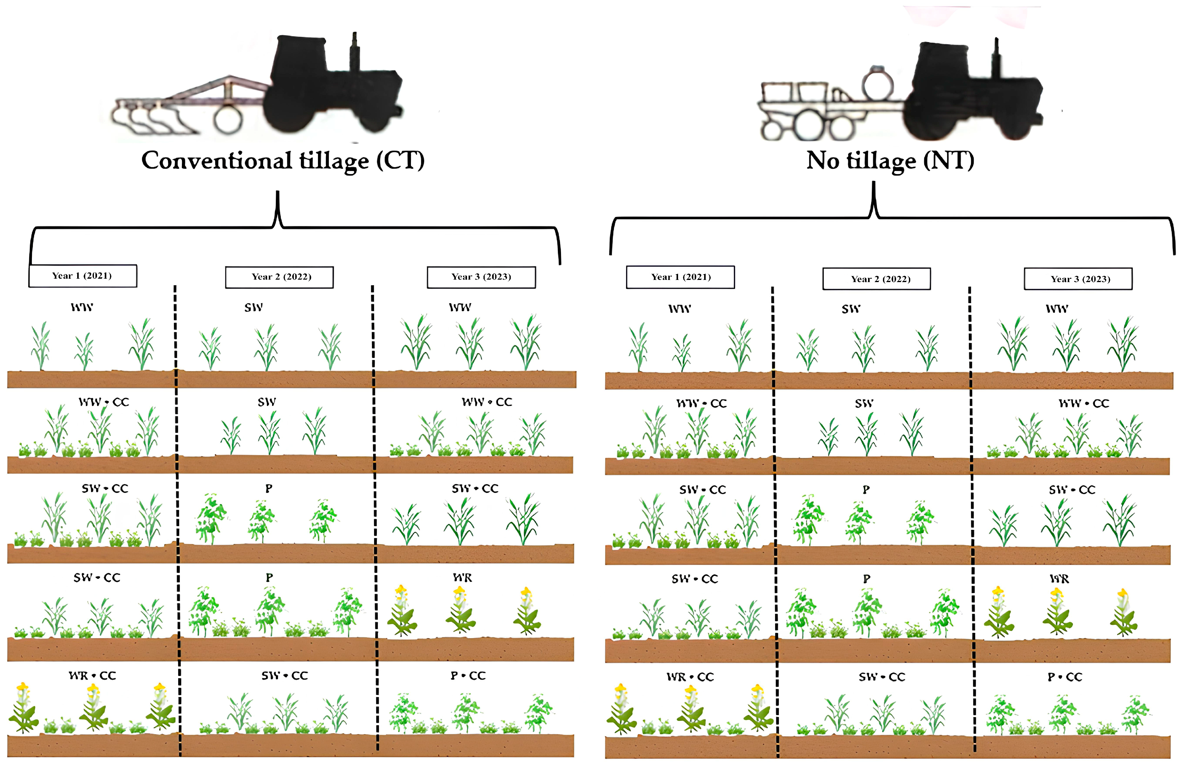 Agronomy 14 01768 g003