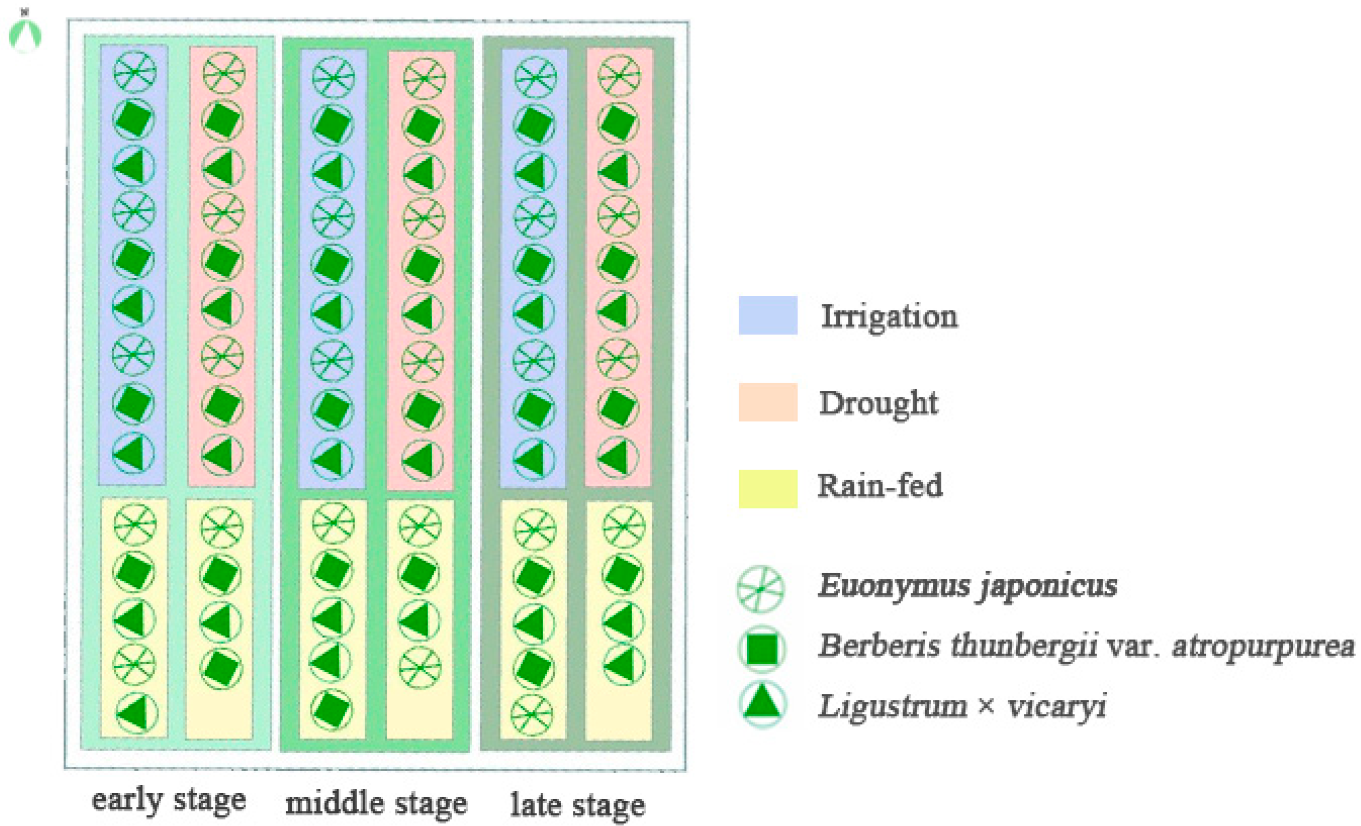 Agronomy 14 01772 g001