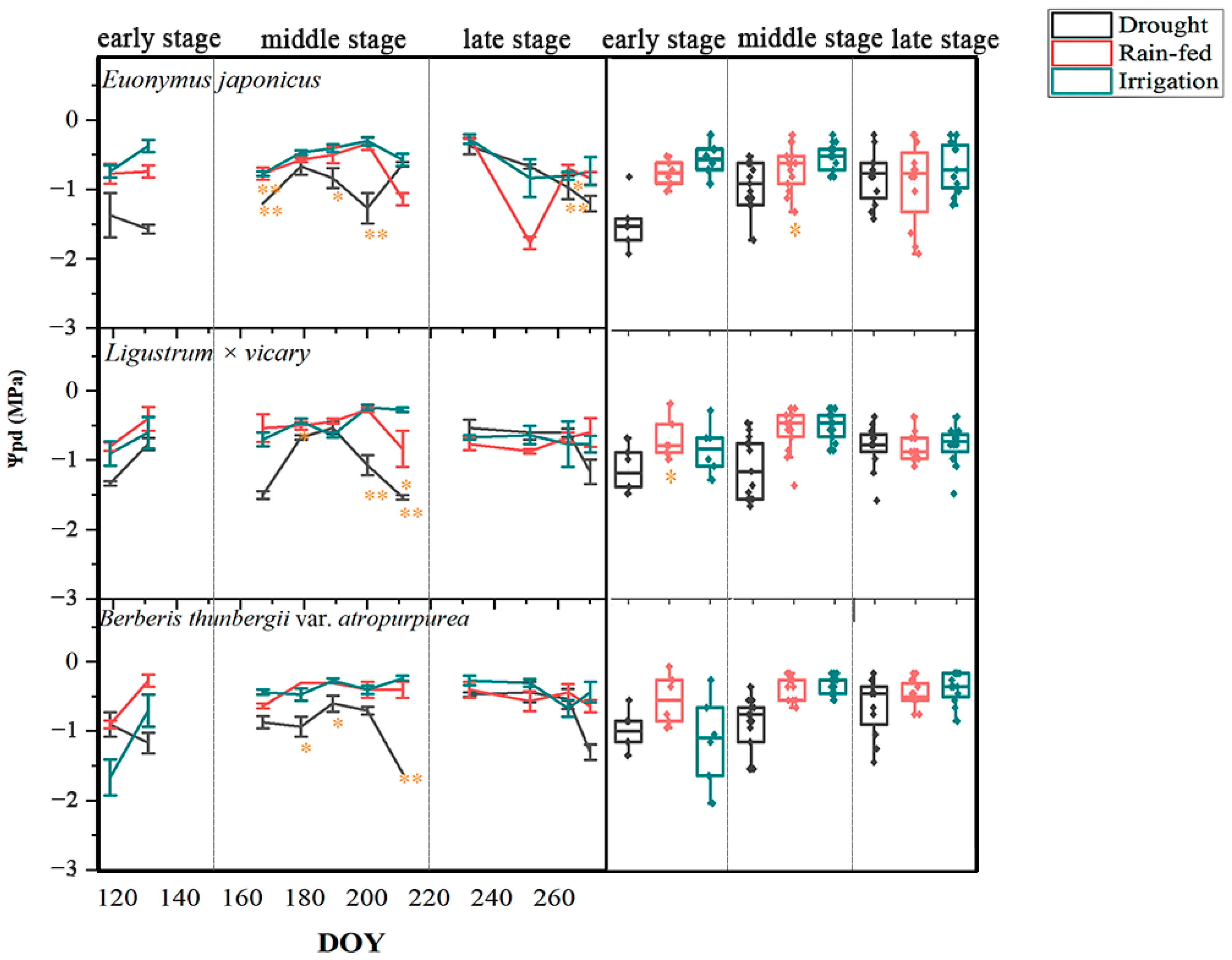 Agronomy 14 01772 g002